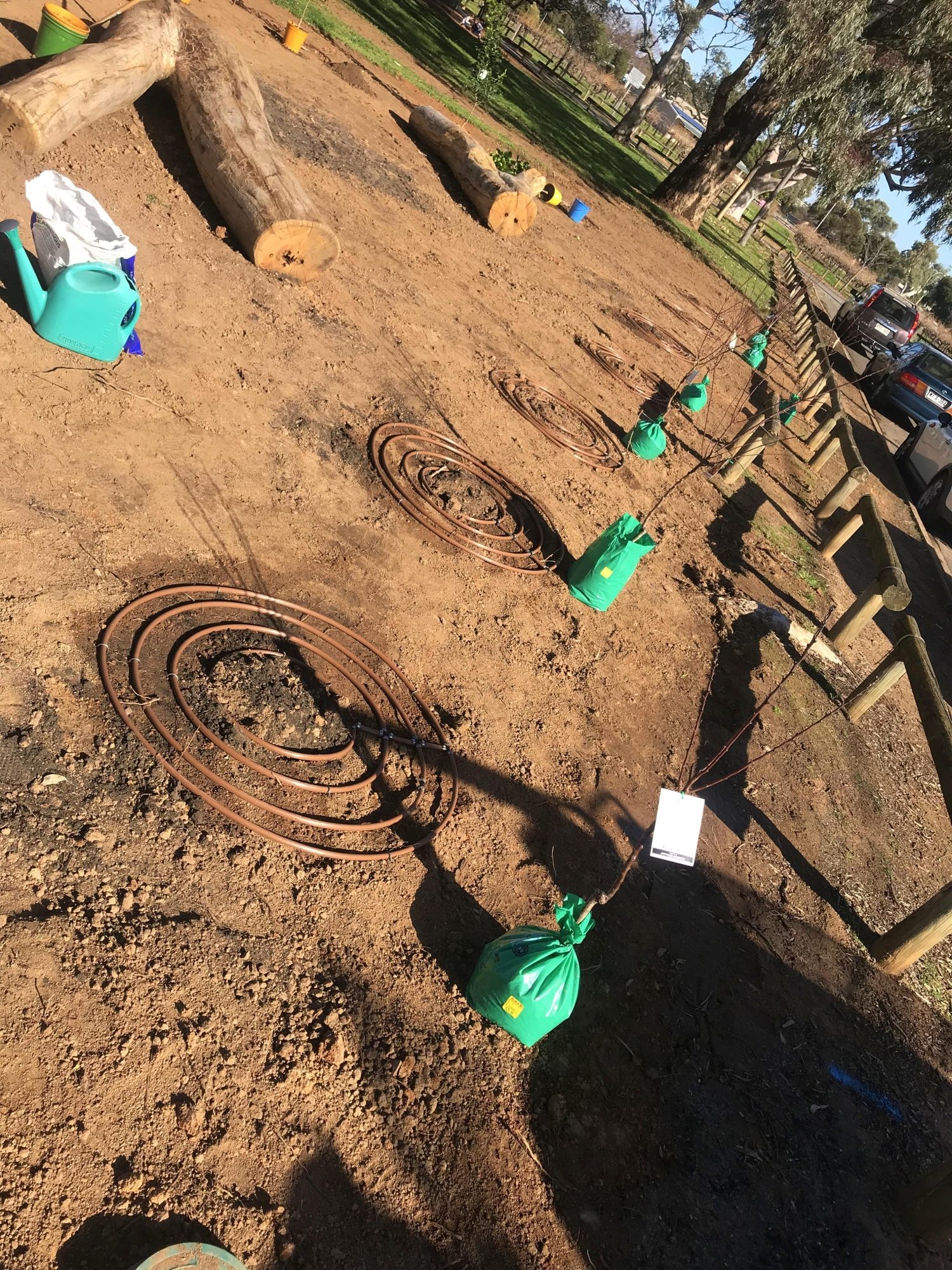 Parsons Grove Reserve Community Planting Day 4