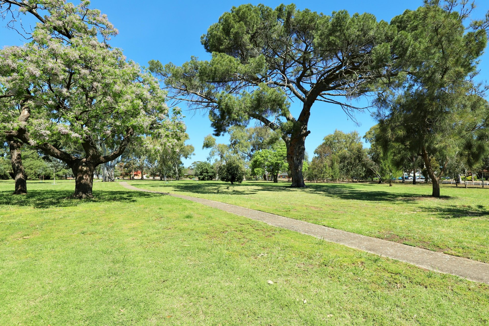 Quick Road Reserve 5