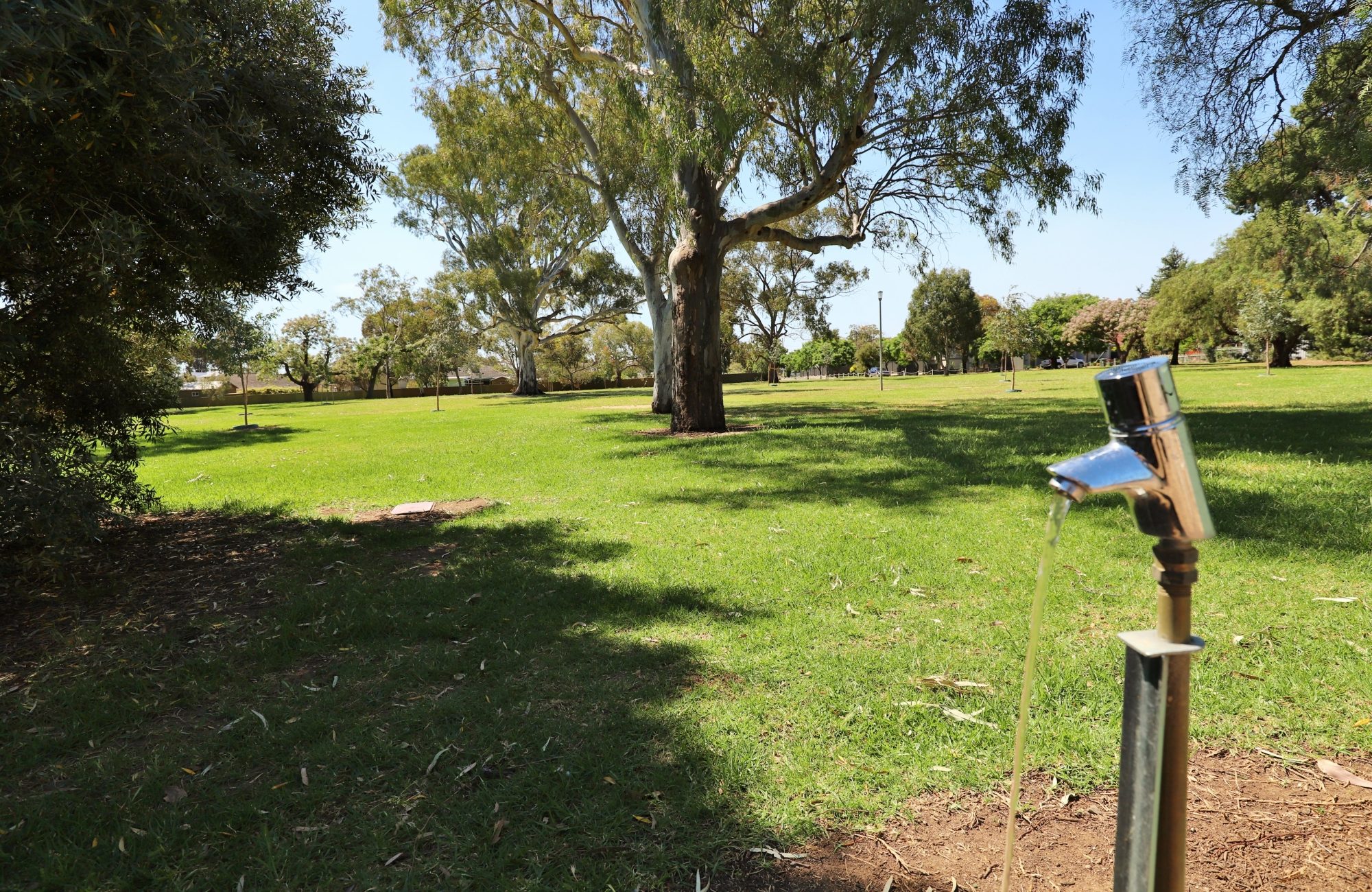 Quick Road Reserve Facilities Tap 1