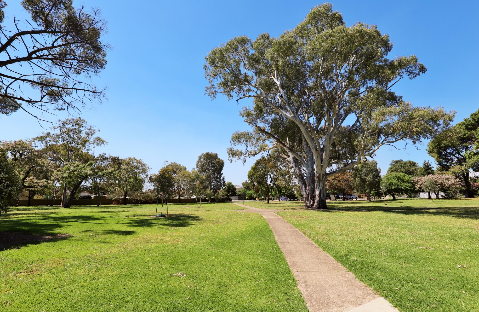 Quick Road Reserve Factilities Path 1