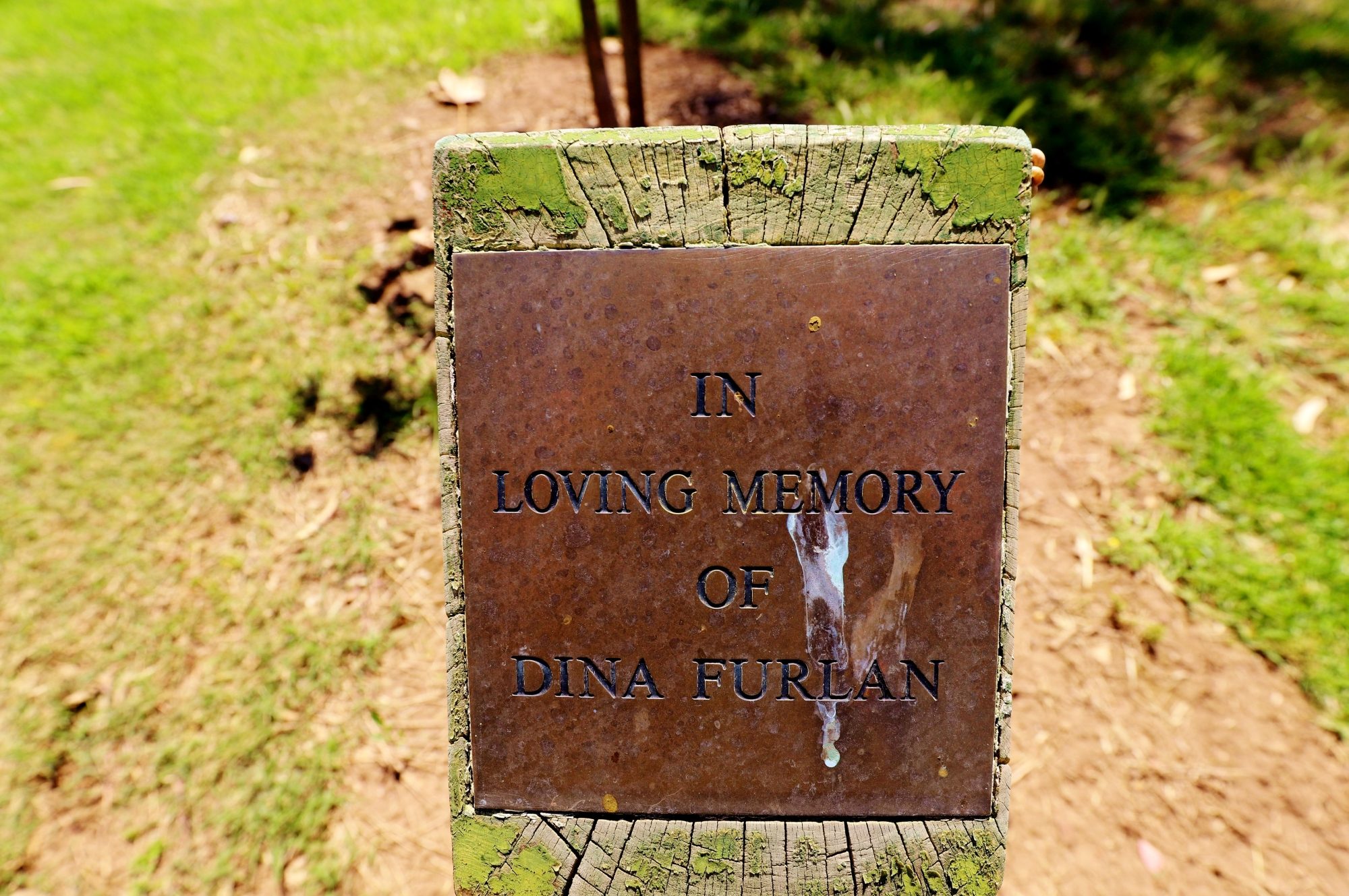 Quick Road Reserve Plaque Dina Furlan 1