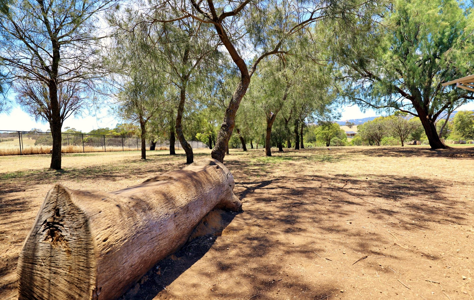 Reserve Street Reserve Dog Park 2