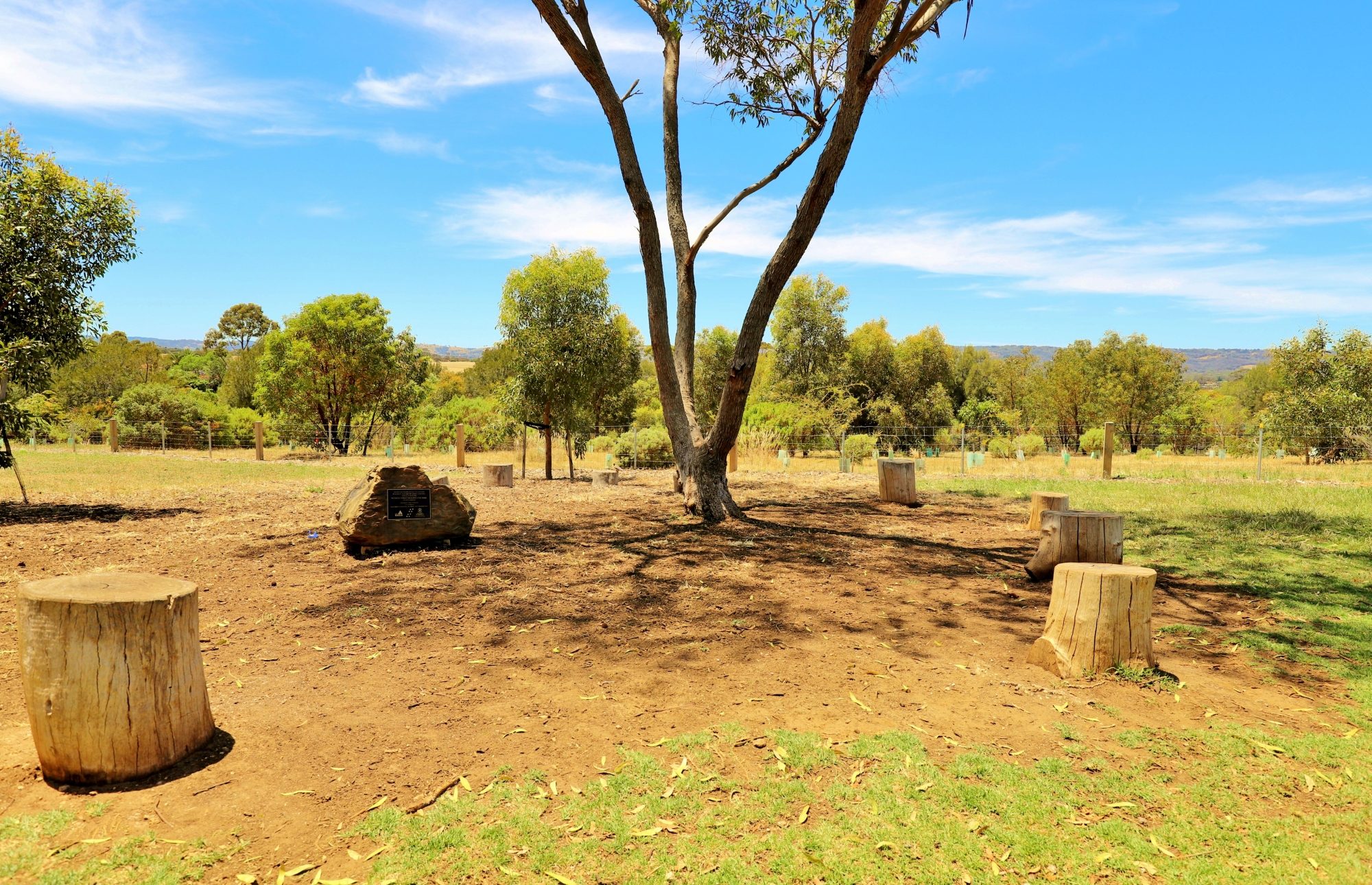 Reserve Street Reserve Dog Park 3