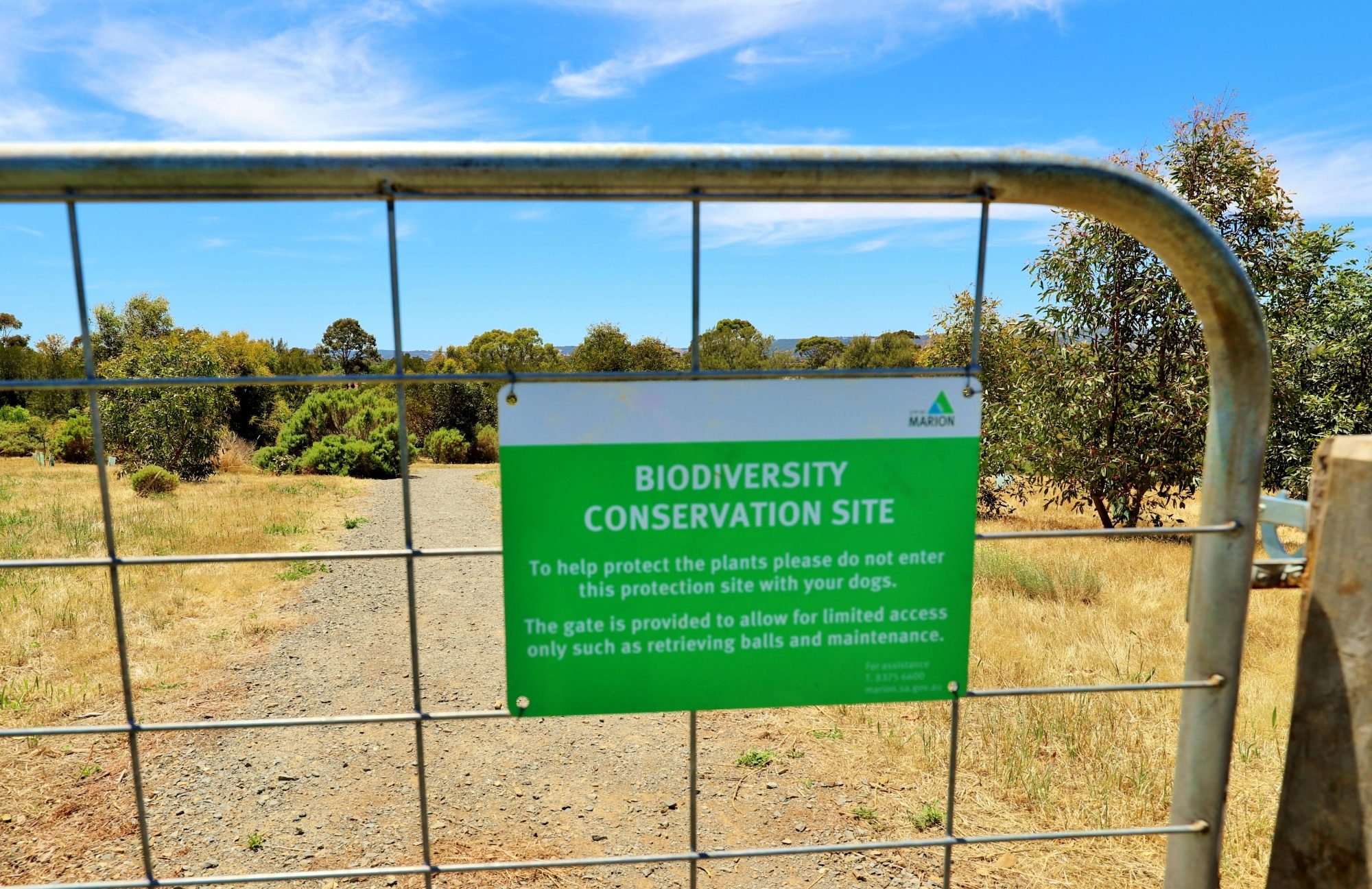 Reserve Street Reserve Dog Park Biodiversity Area 3