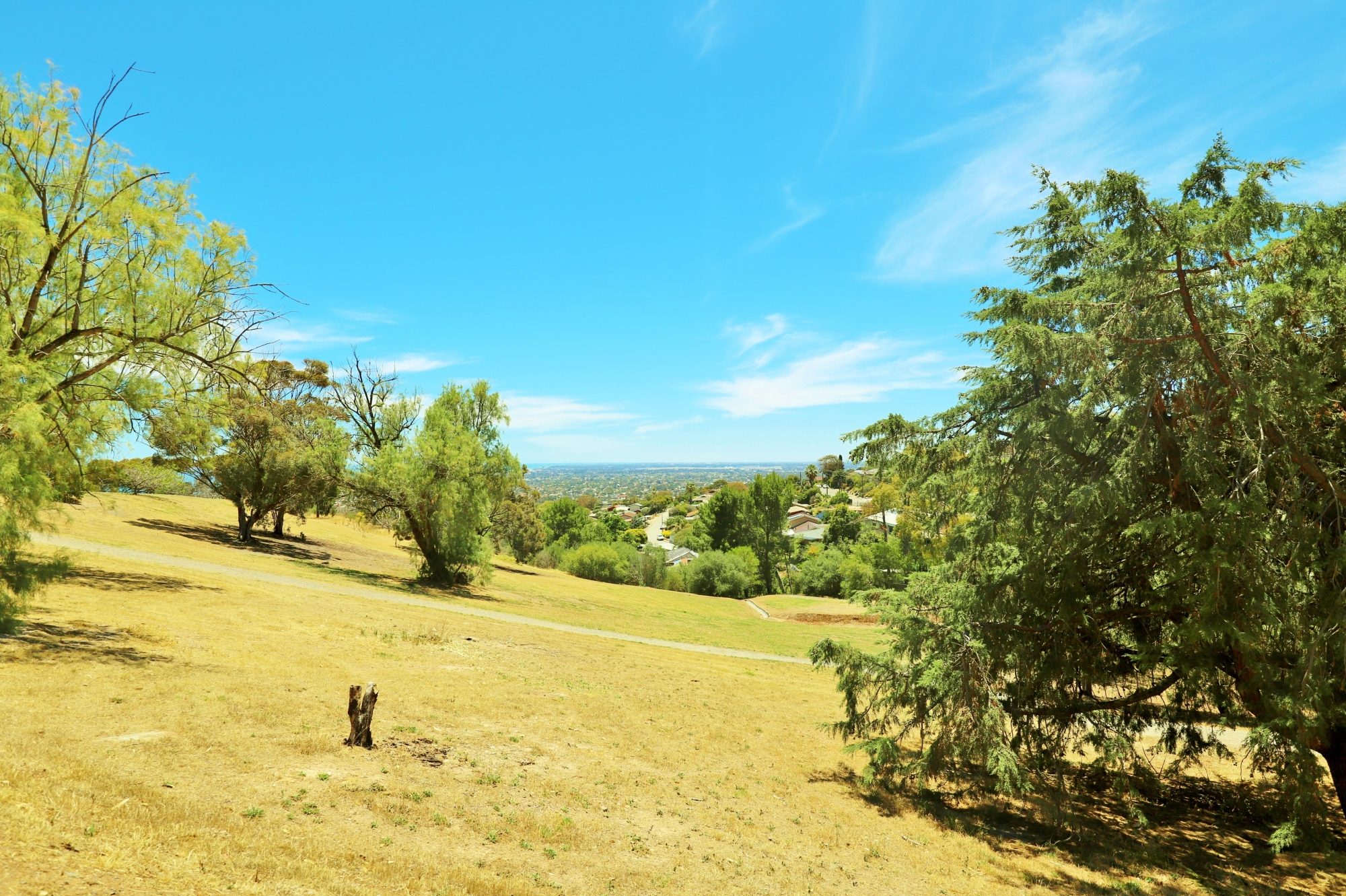 Roy Lander Reserve Views 1