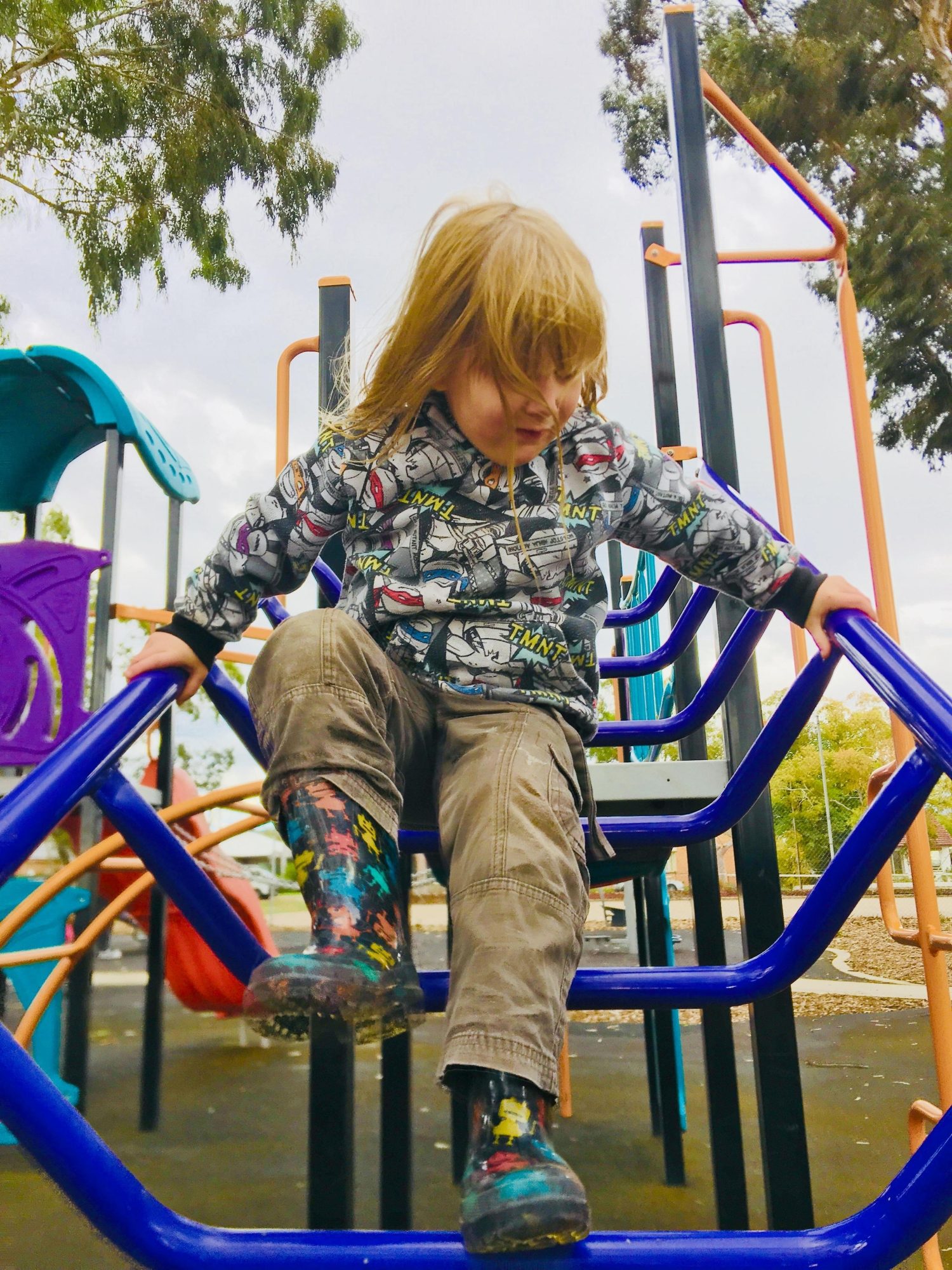 Sandery Avenue Reserve Angled Ladder 3 Zb