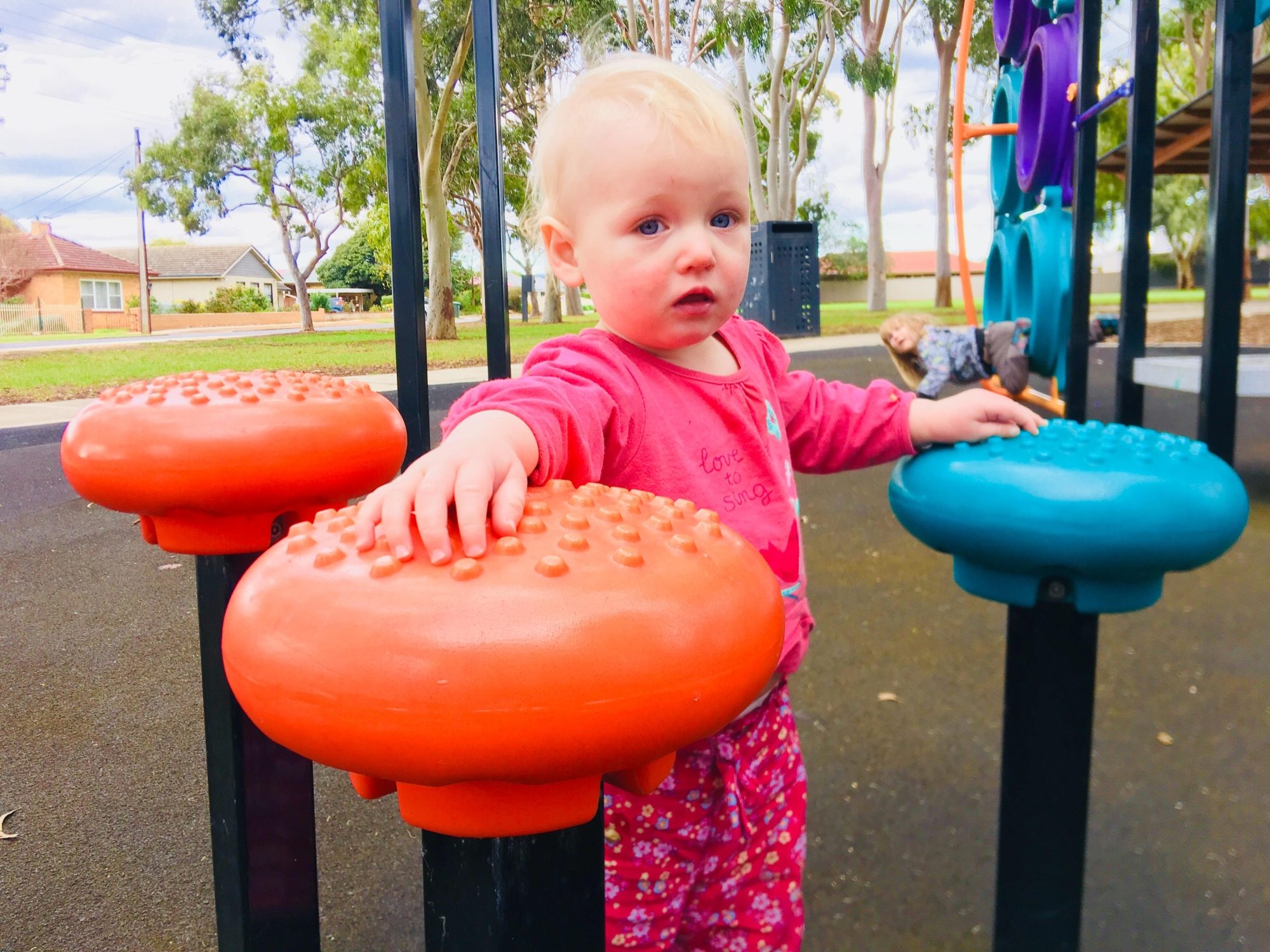 Sandery Avenue Reserve Balanding Steps 4 Eb