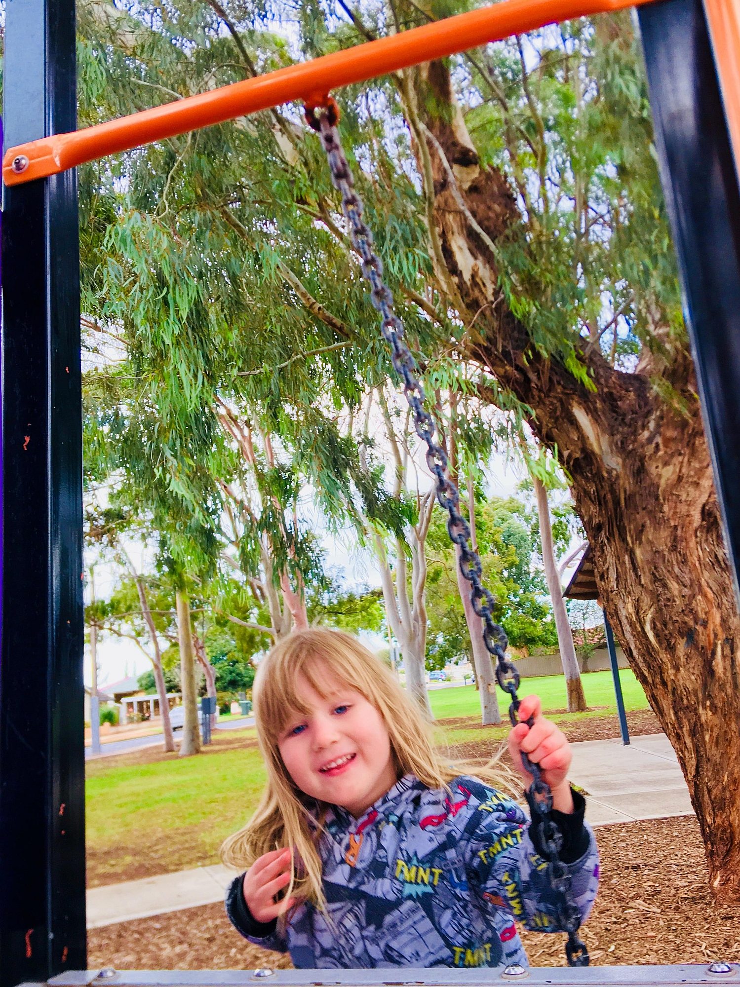 Sandery Avenue Reserve Chain Climb 1 Zb