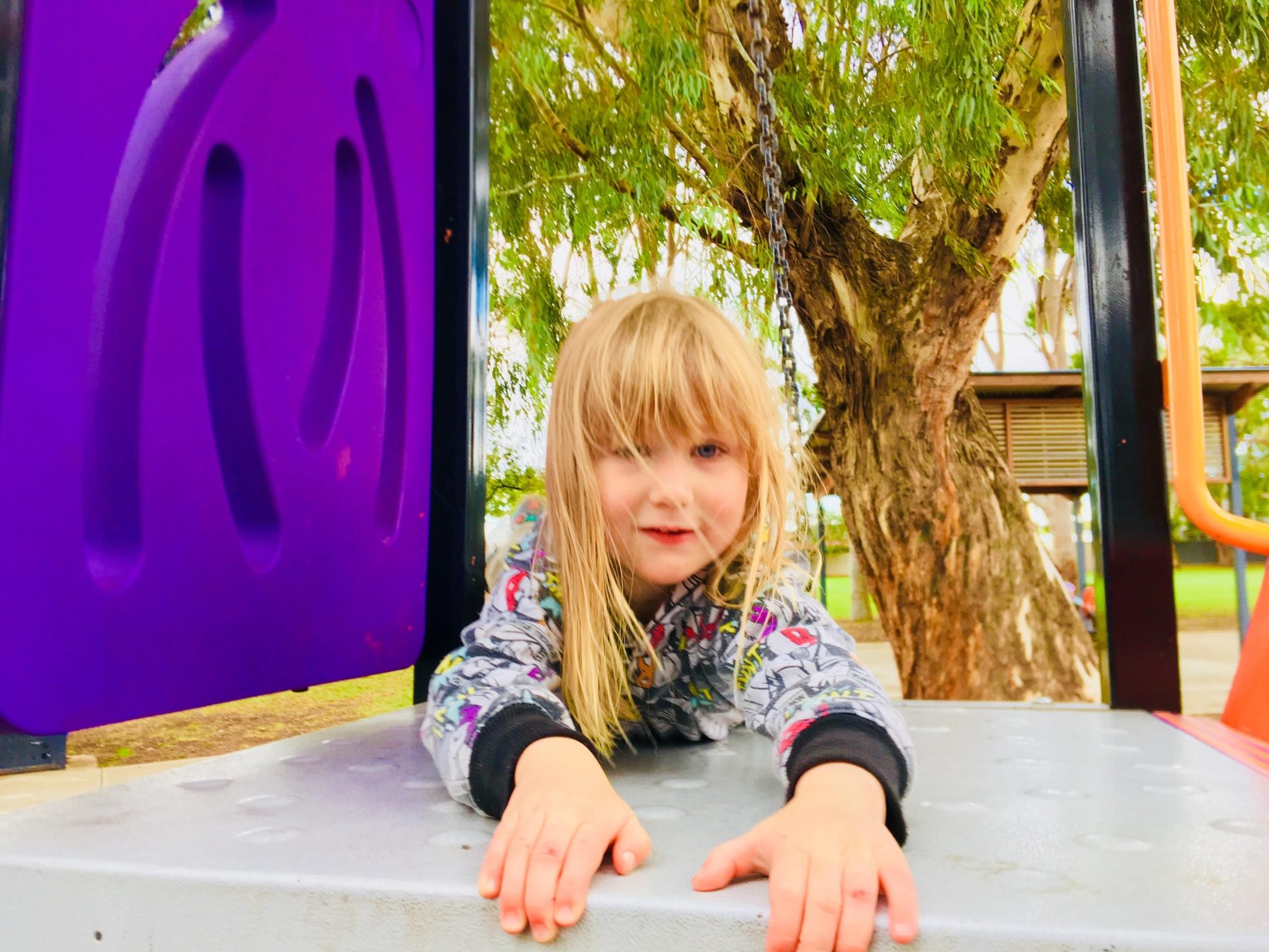 Sandery Avenue Reserve Chain Climb 2 Zb