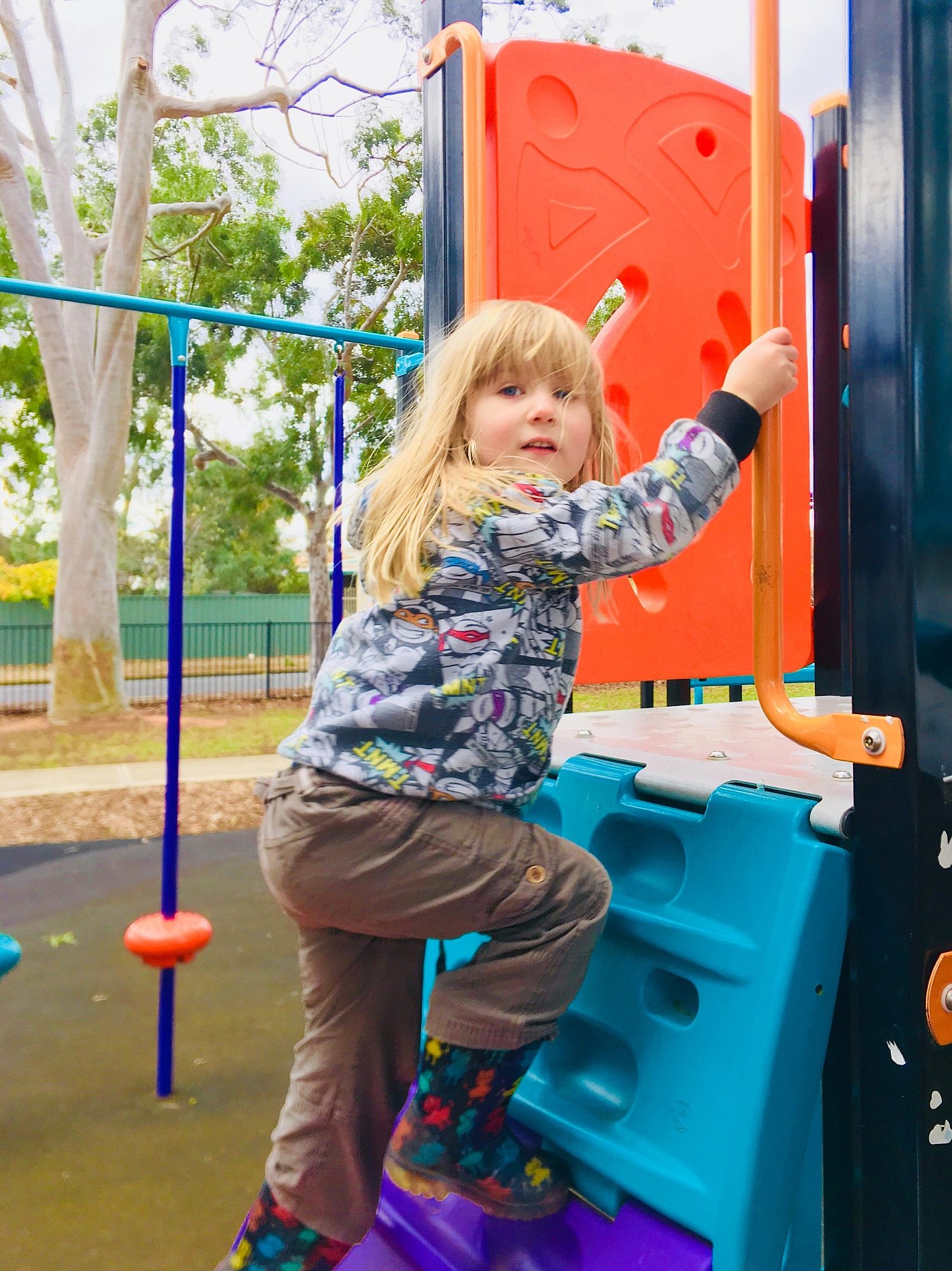 Sandery Avenue Reserve Climbing Steps 1 Zb