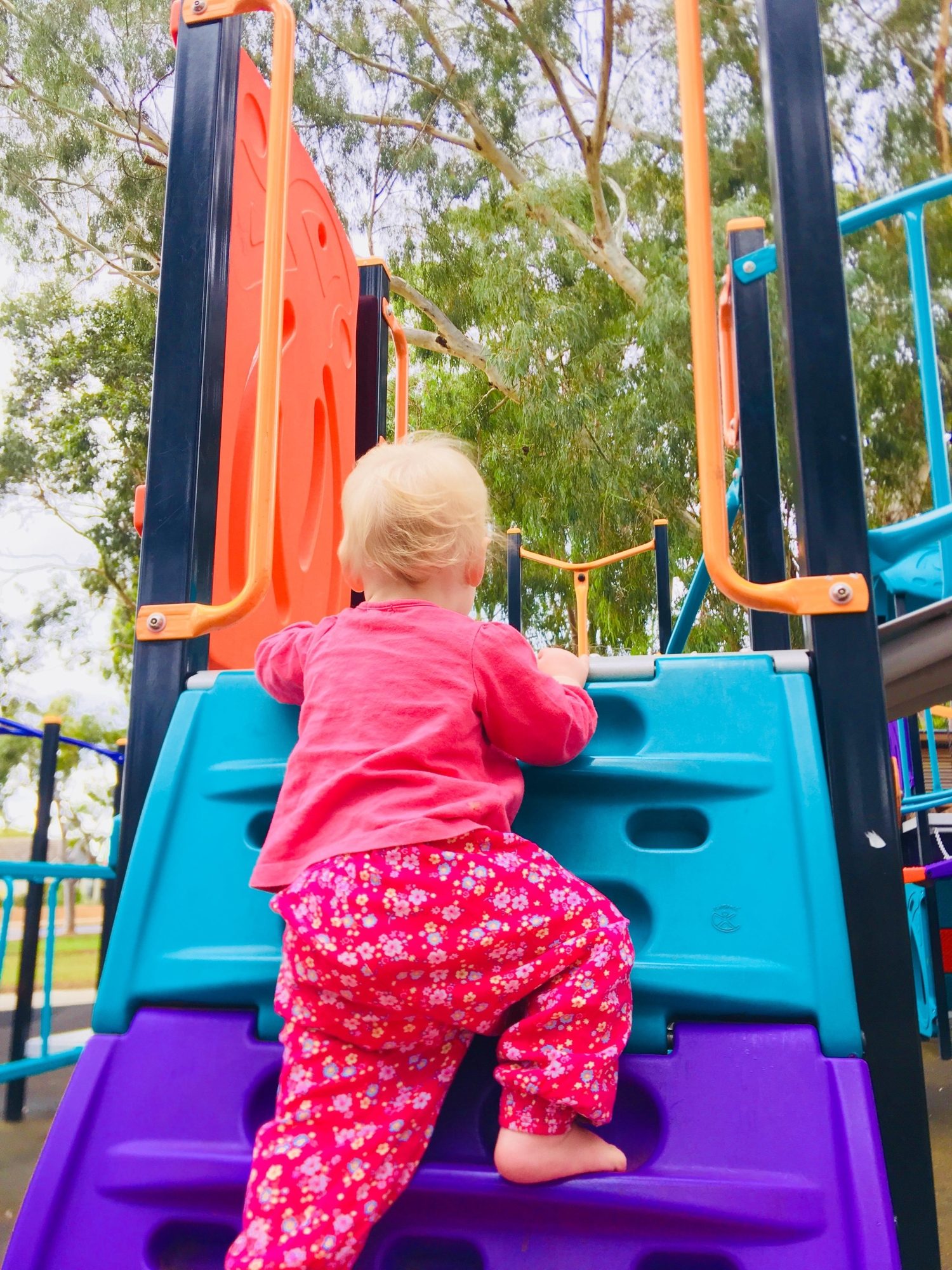 Sandery Avenue Reserve Climbing Steps 2 Eb