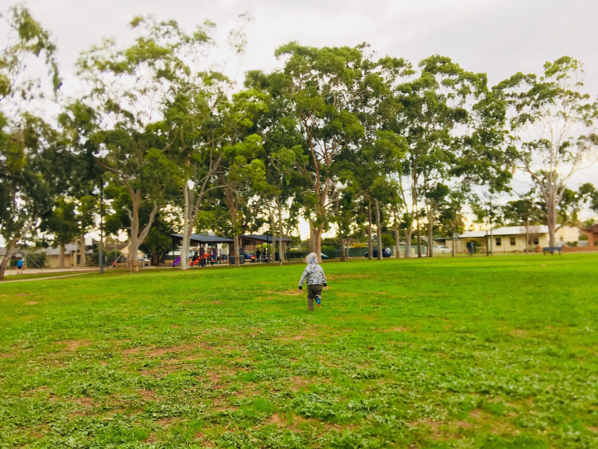 Sandery Avenue Reserve Grass Kick About 2 Zb