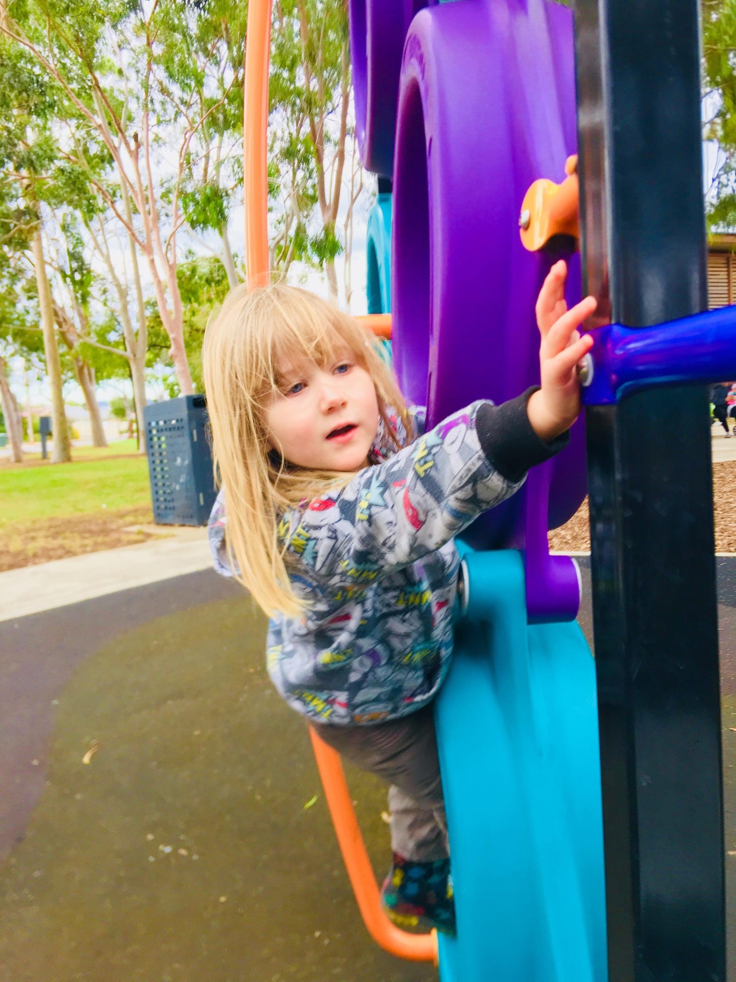 Sandery Avenue Reserve Hoop Climber 1 Zb