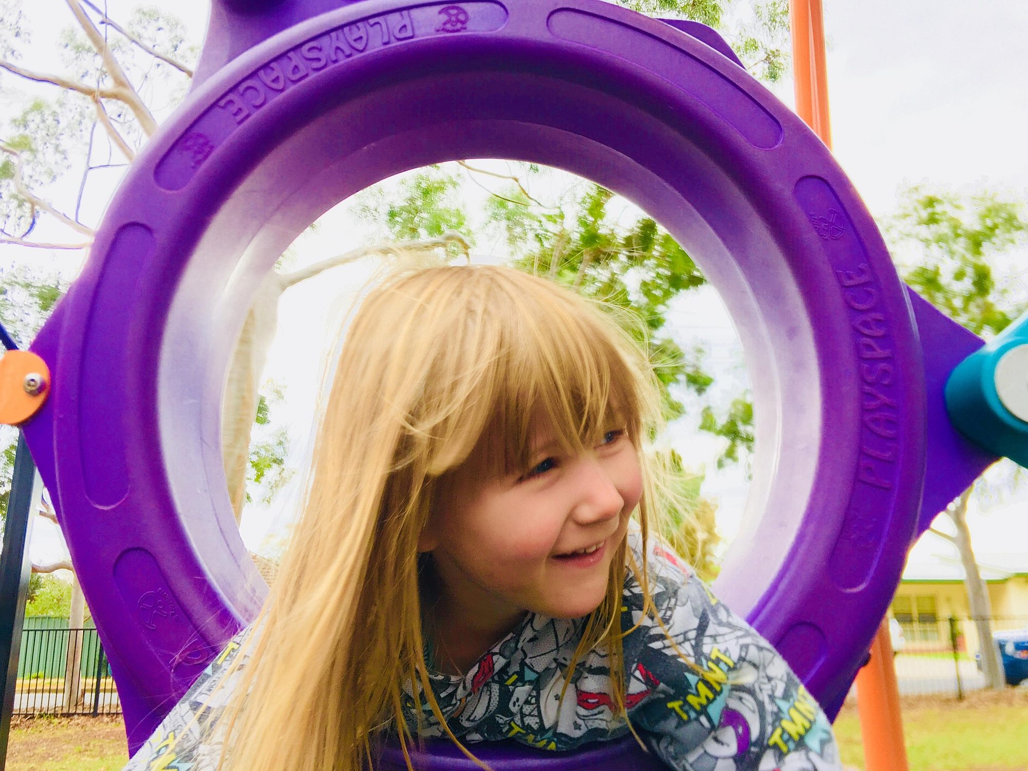 Sandery Avenue Reserve Hoop Climber 4 Zb