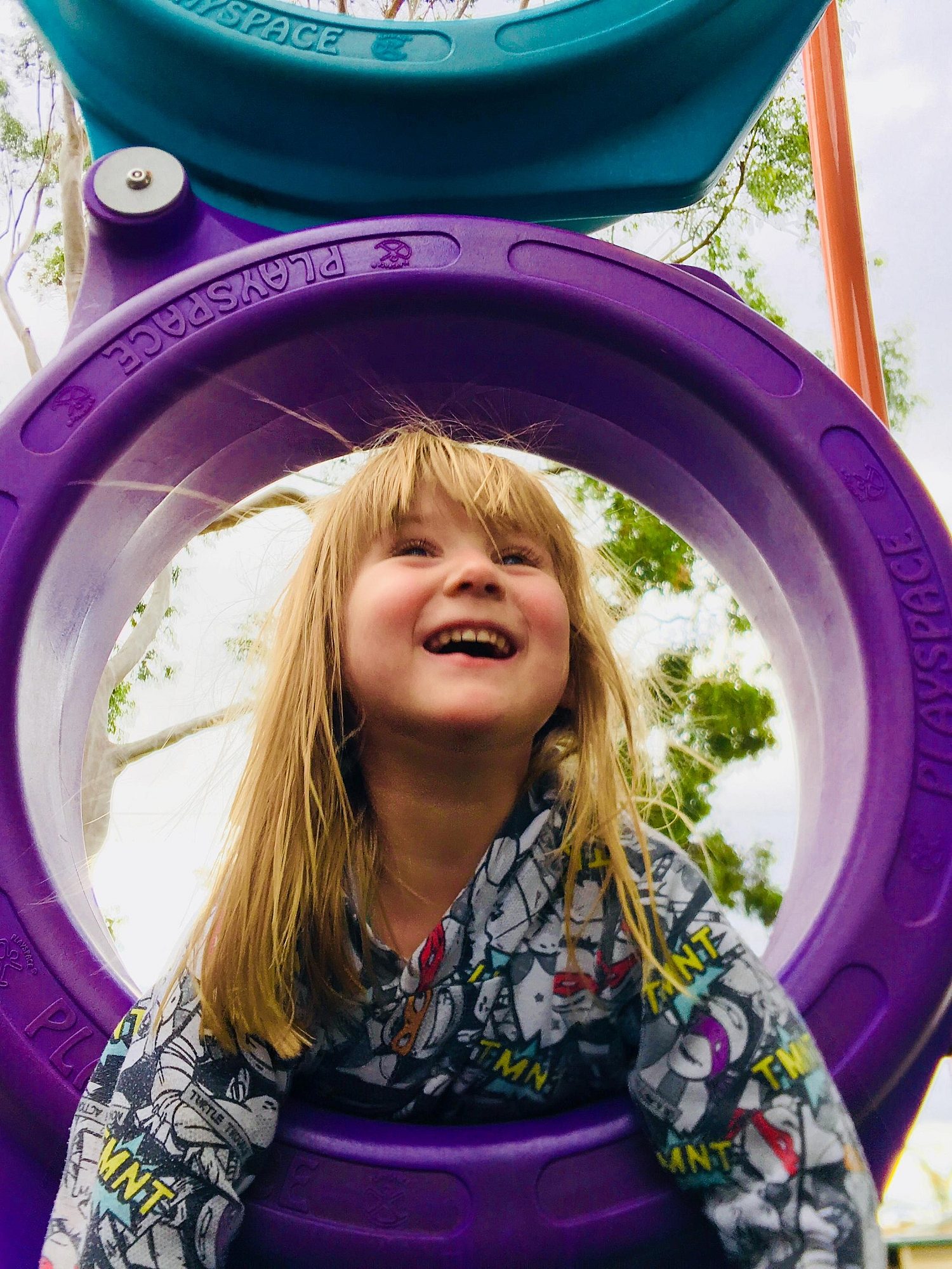 Sandery Avenue Reserve Hoop Climber 5 Zb