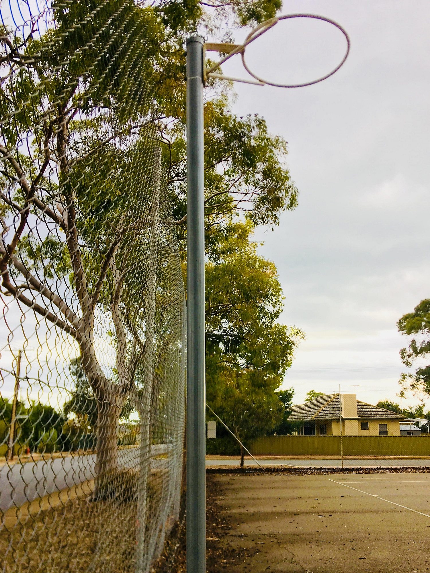Sandery Avenue Reserve Netball 1