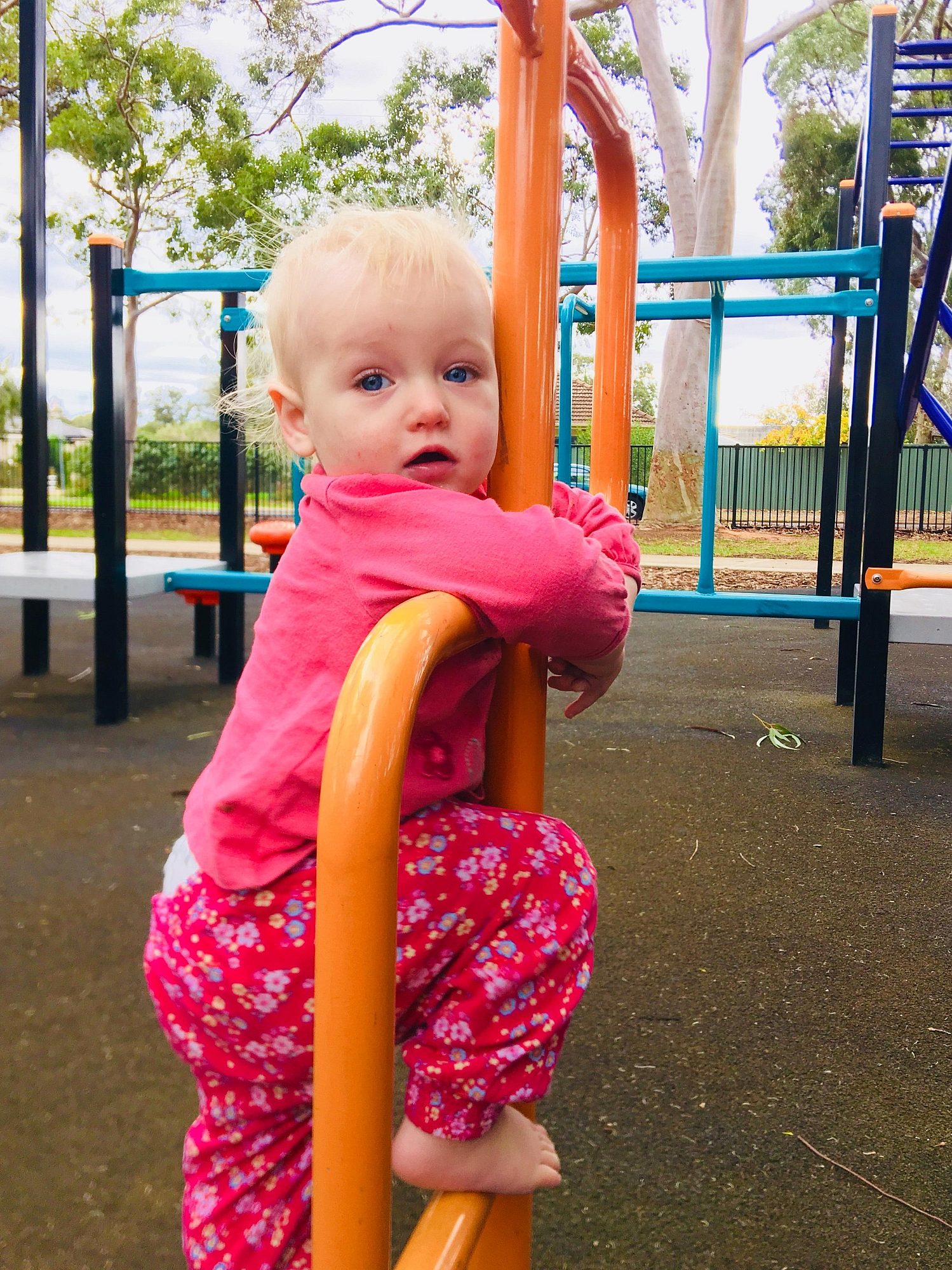 Sandery Avenue Reserve Orange Ladder 1 Eb