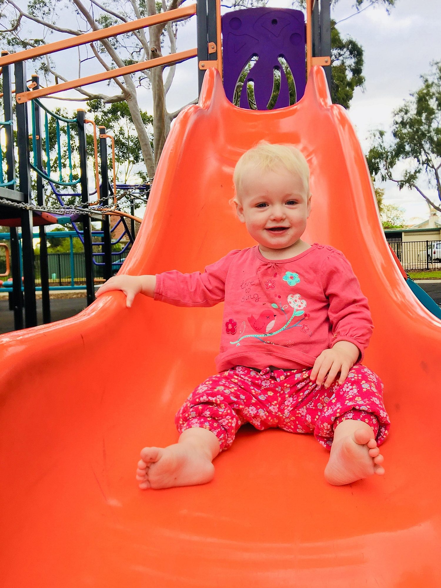 Sandery Avenue Reserve Orange Slide 2 Eb