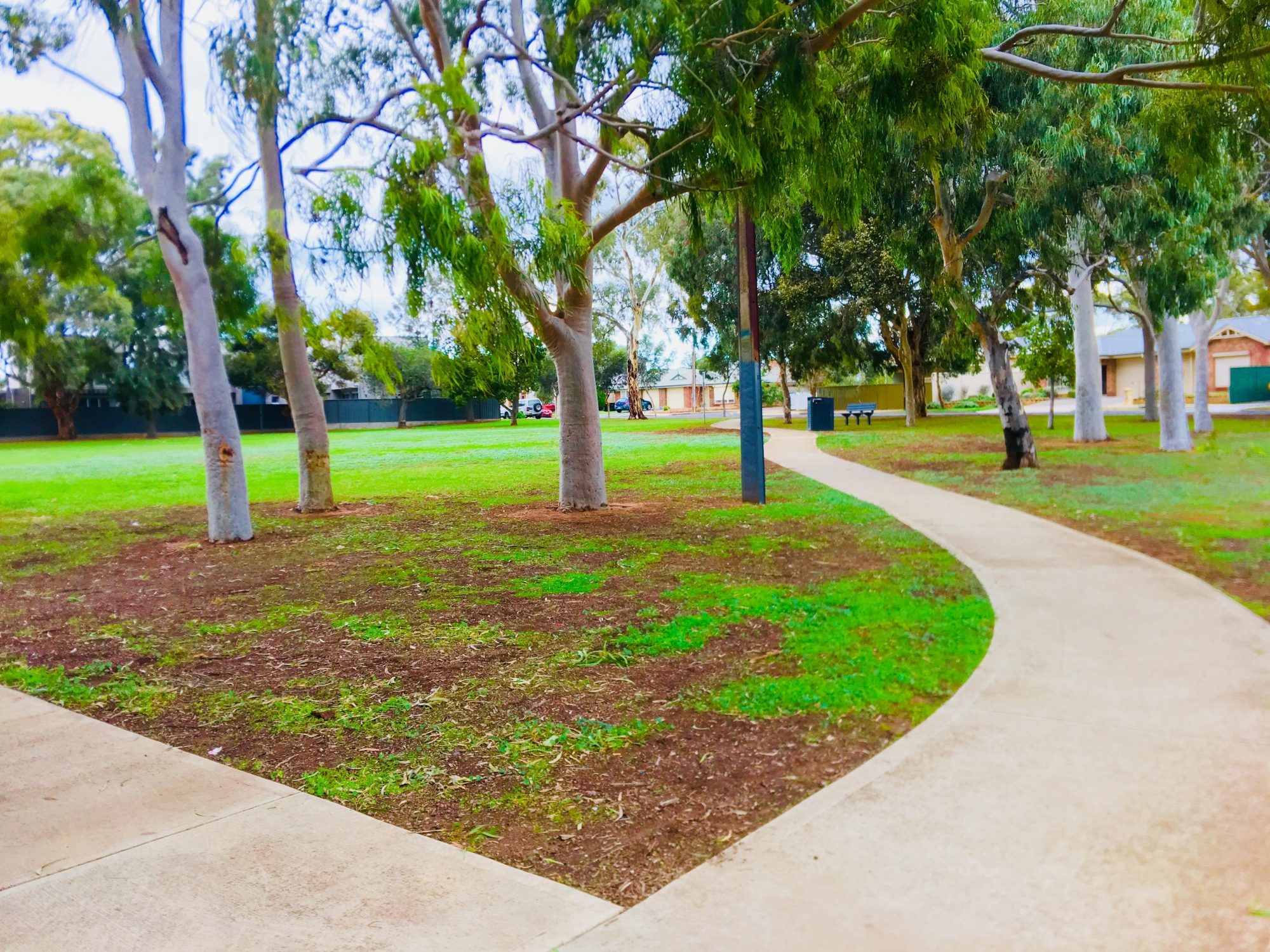 Sandery Avenue Reserve Paths 1