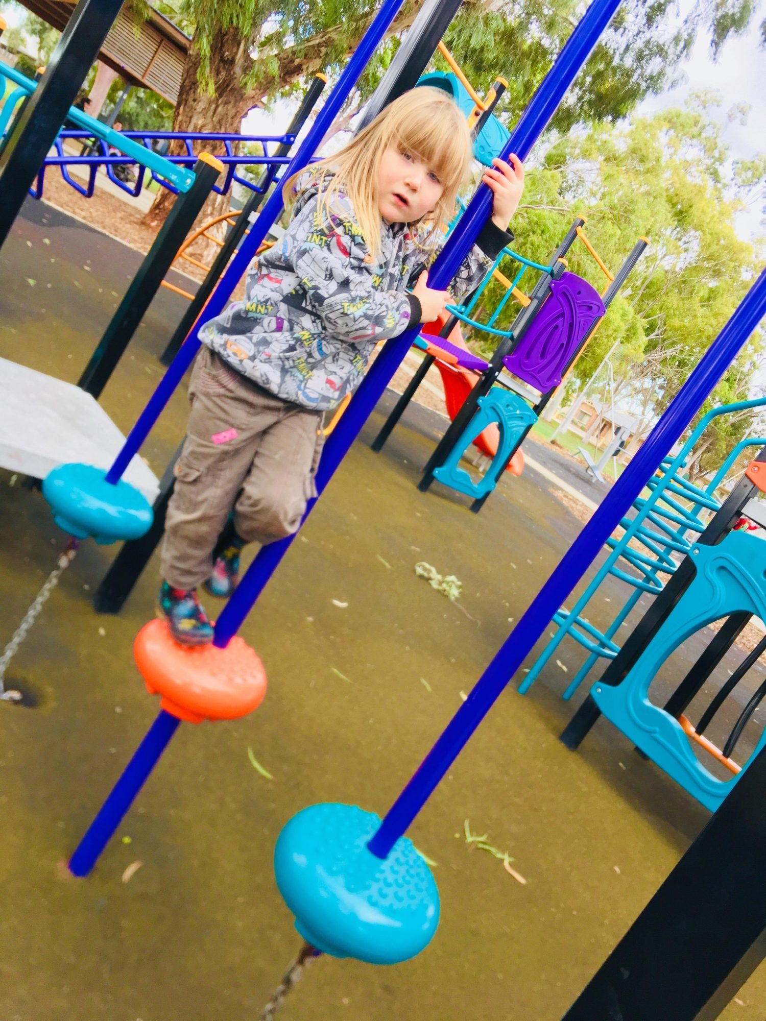 Sandery Avenue Reserve Pommel Course 1 Zb