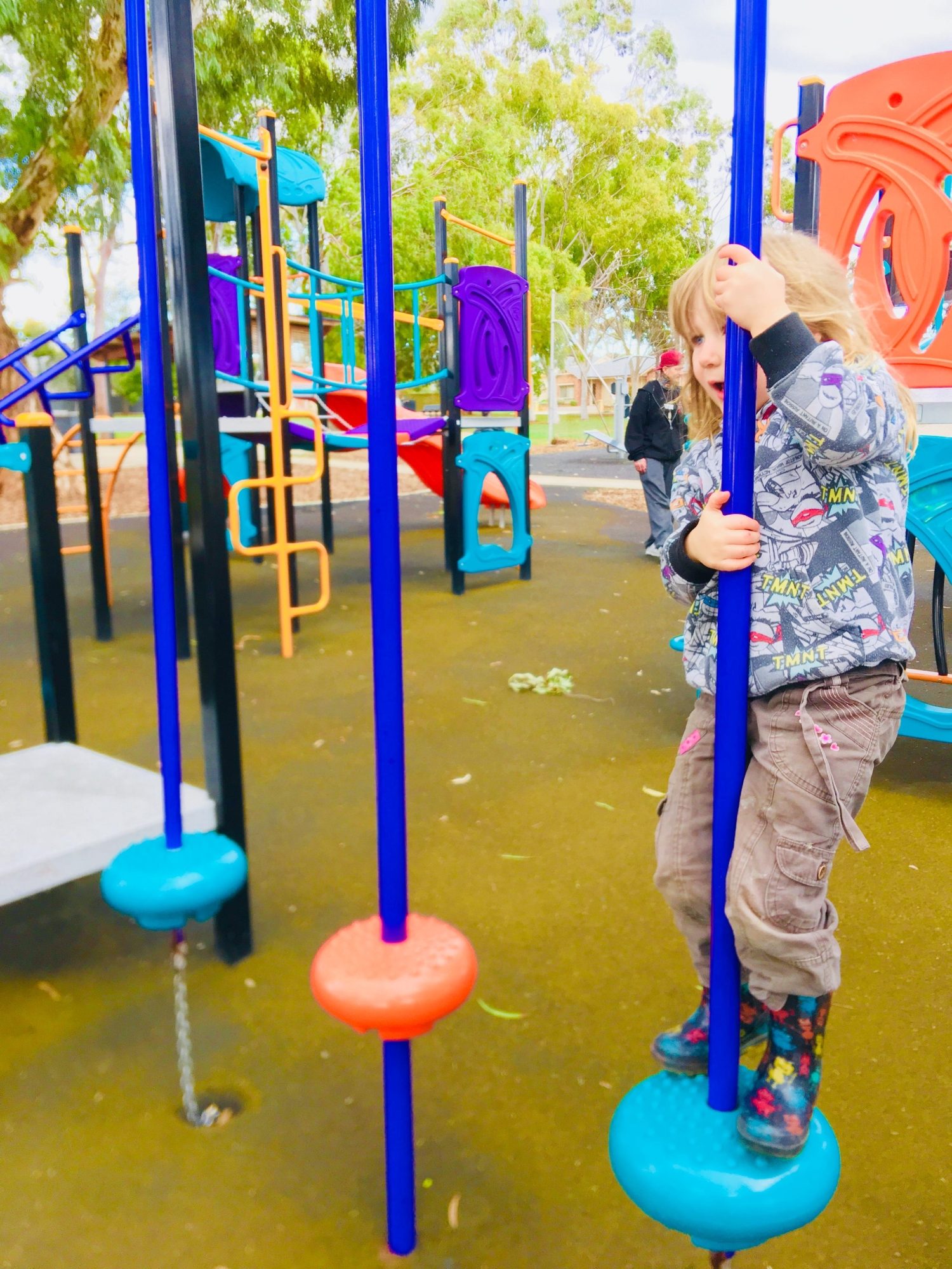 Sandery Avenue Reserve Pommel Course 2 Zb