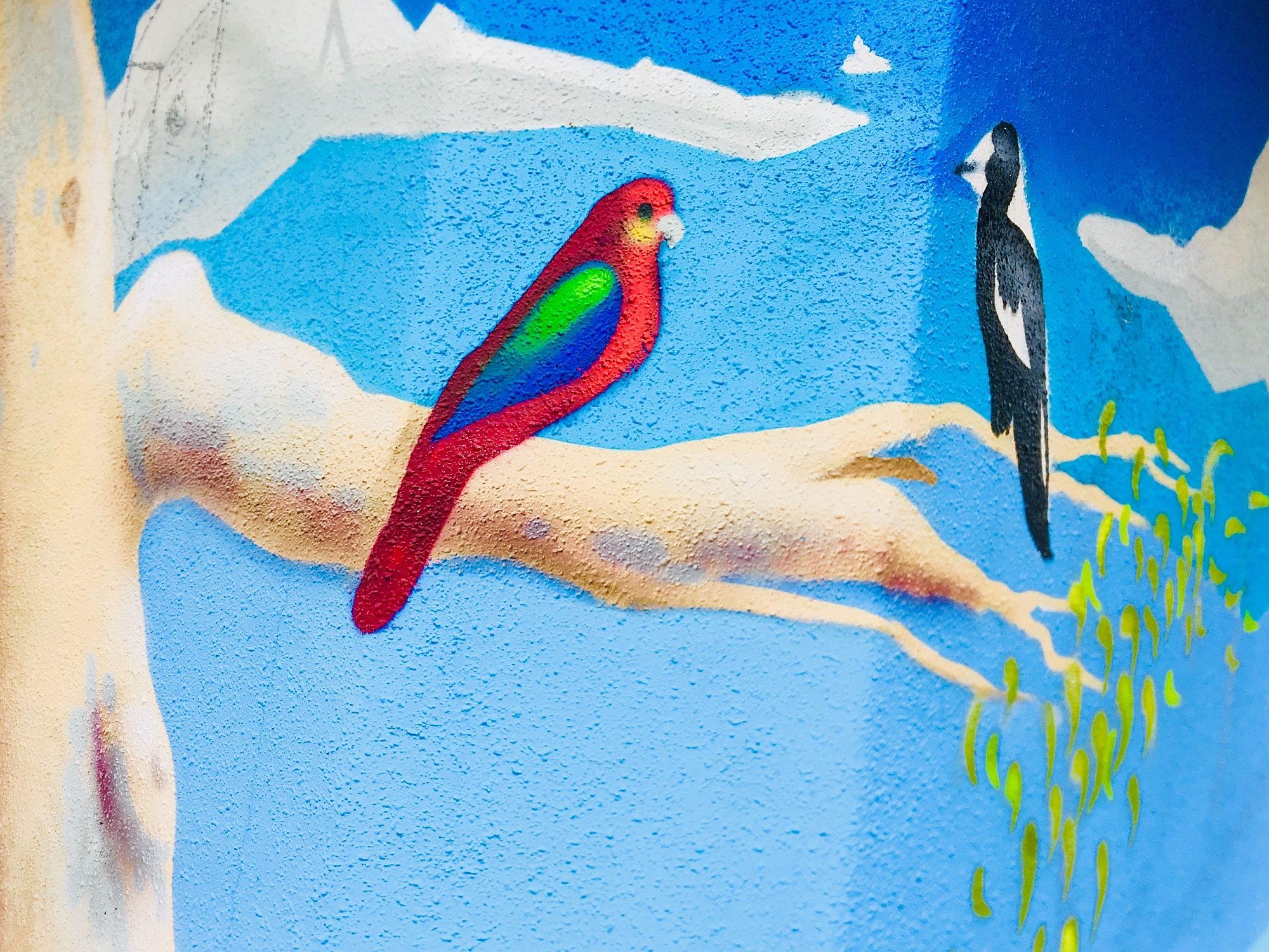 Sandery Avenue Reserve Public Art Toilets 1