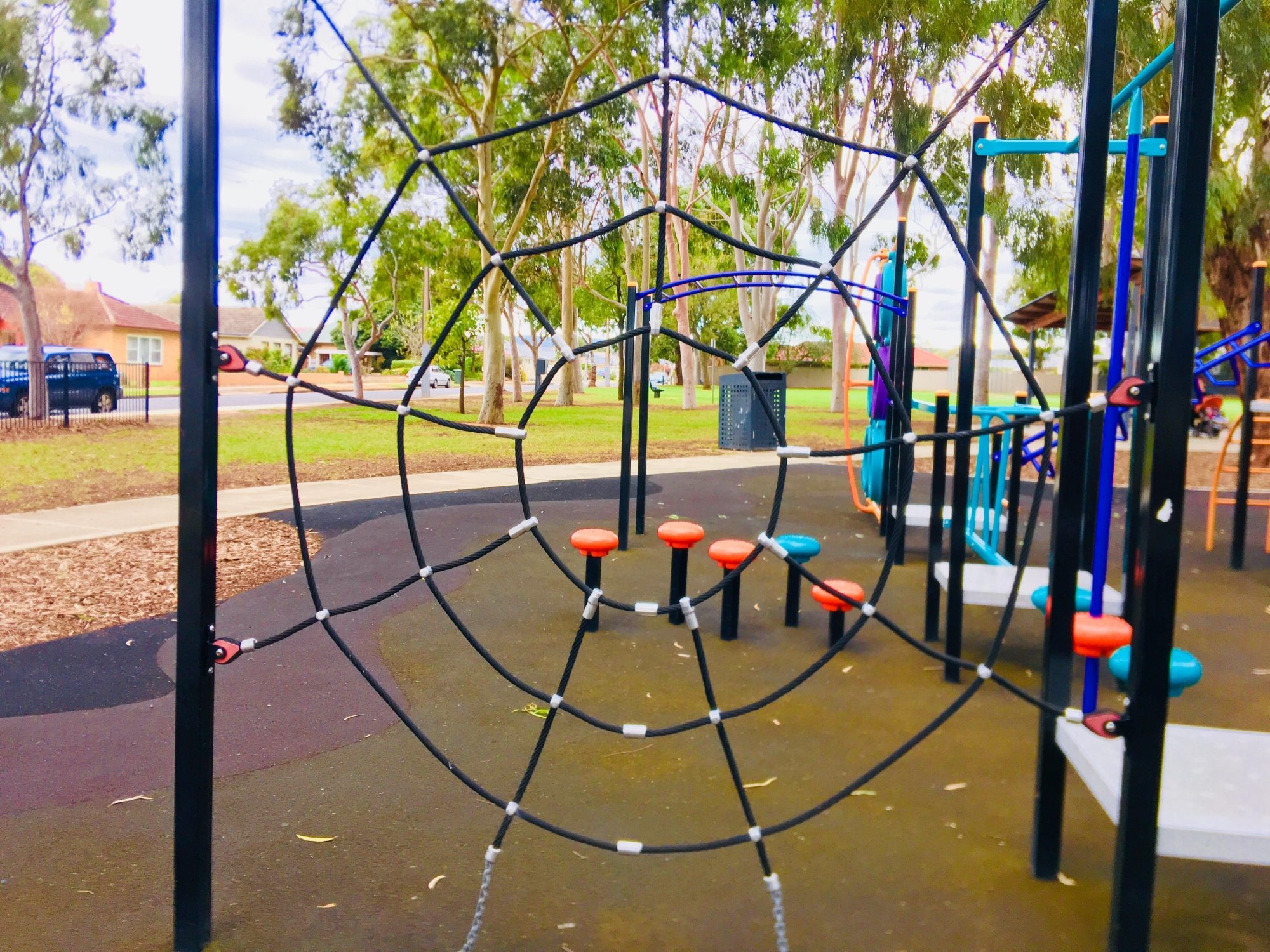 Sandery Avenue Reserve Spider Net 1