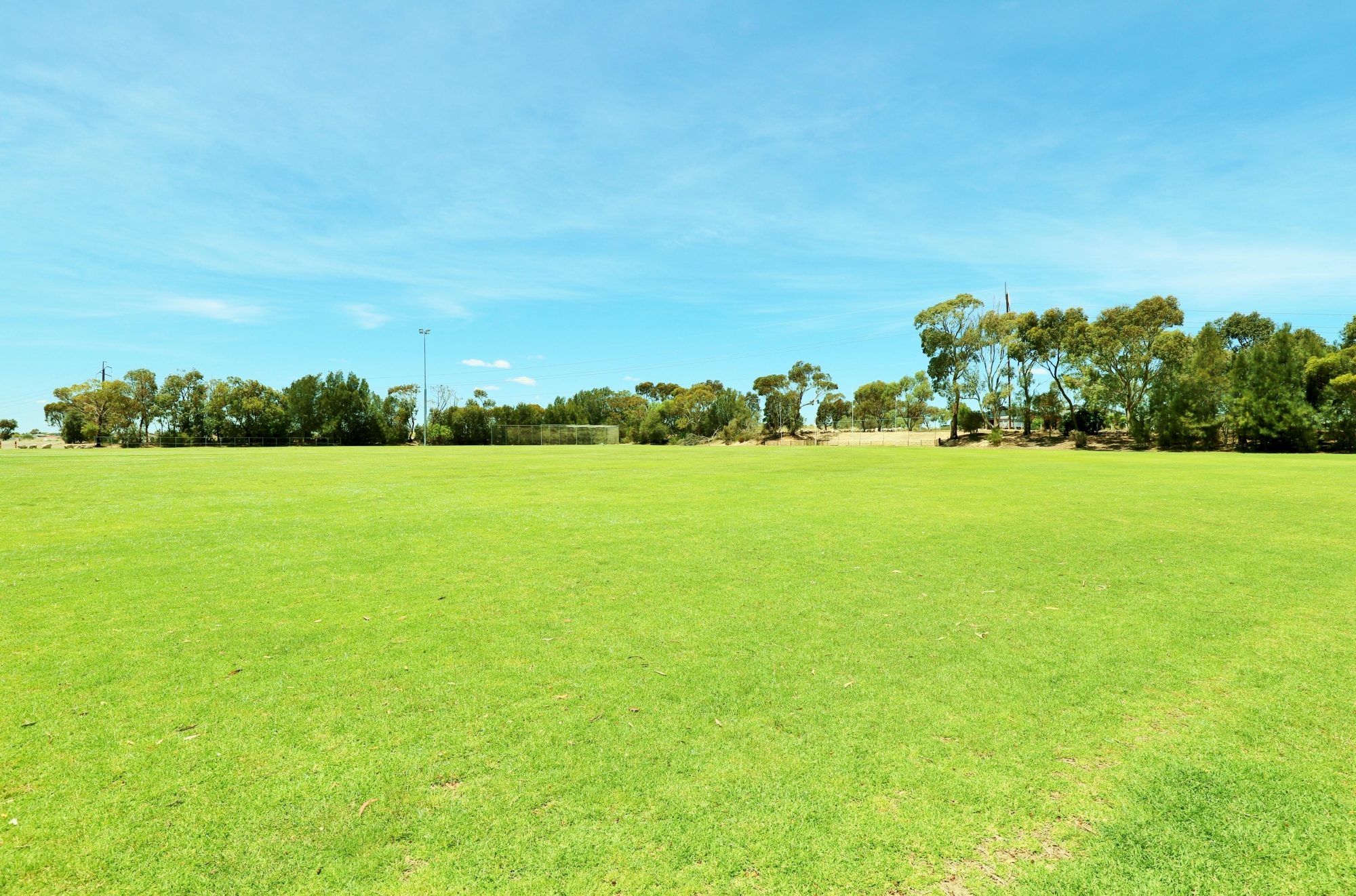 The Cove Sports Eastern Field Oval 2