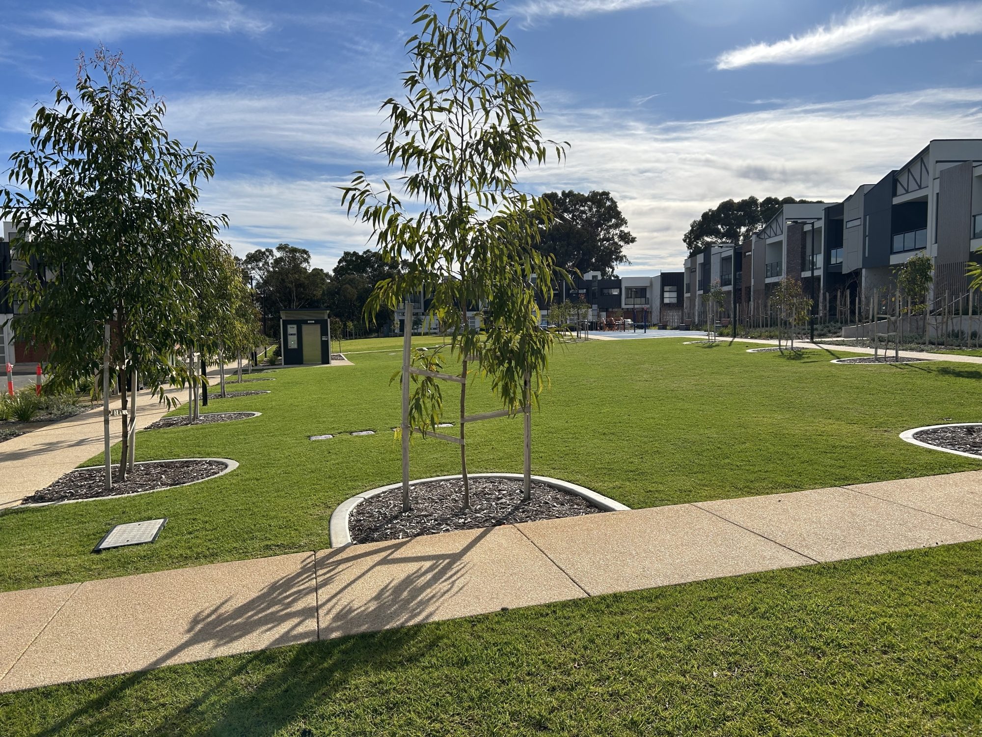 Tonsley Village Green IMG 0236 5