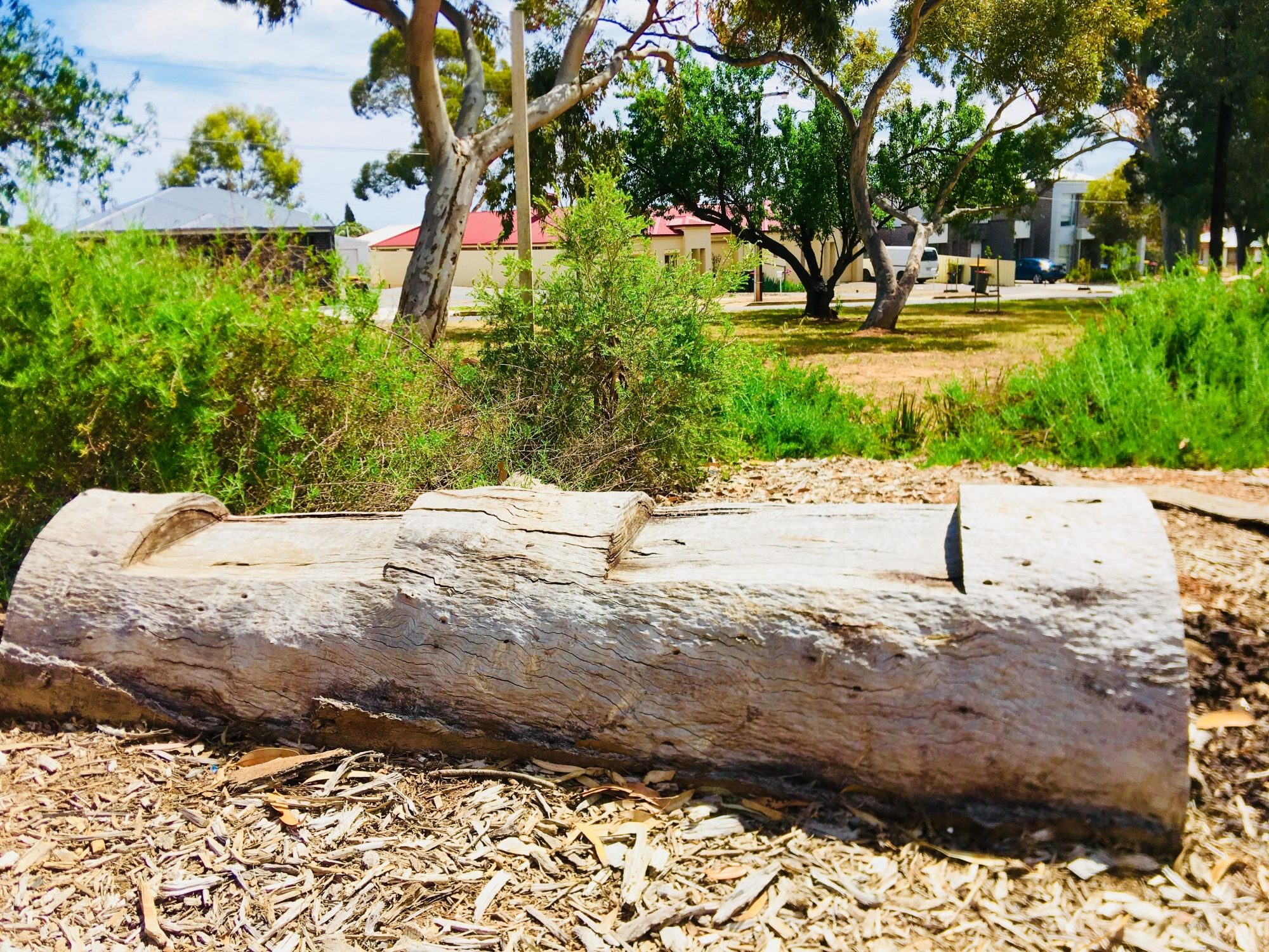 Waratah Square Reserve Facilities Natural Seating 1
