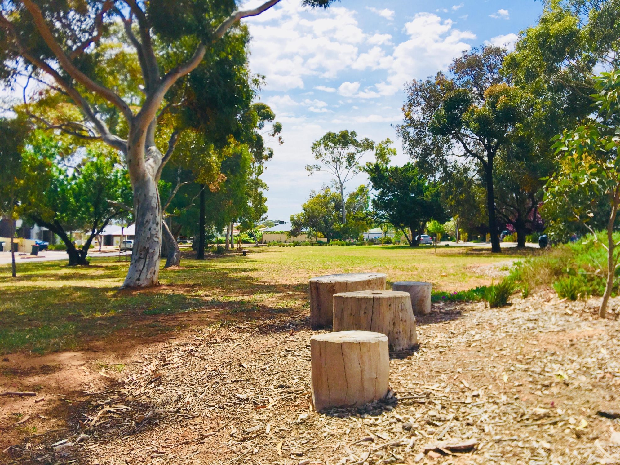 Waratah Square Reserve Stepping Logs 1