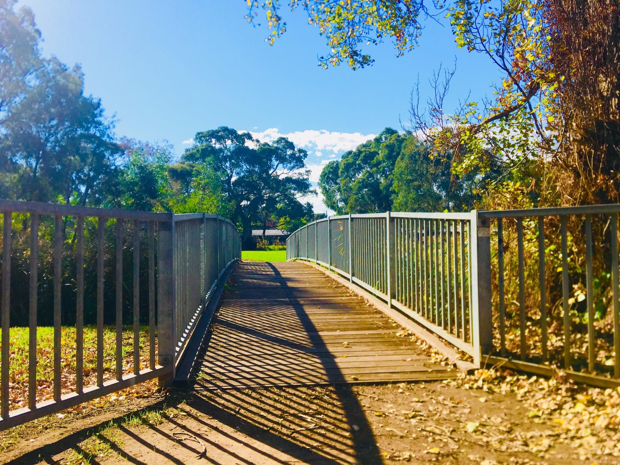 Warriparingga Wetlands Bridge
