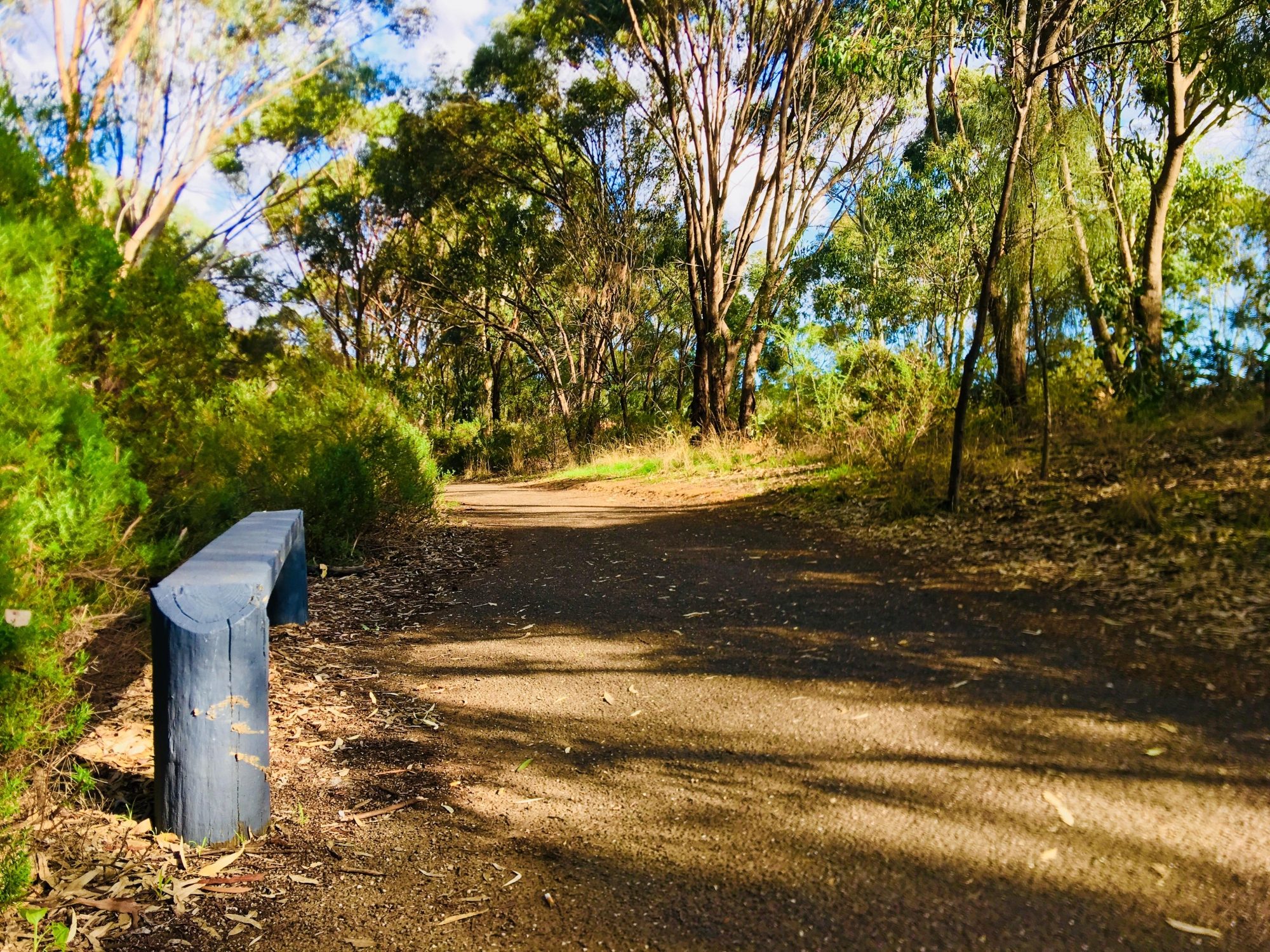 Warriparingga Wetlands Path Seat