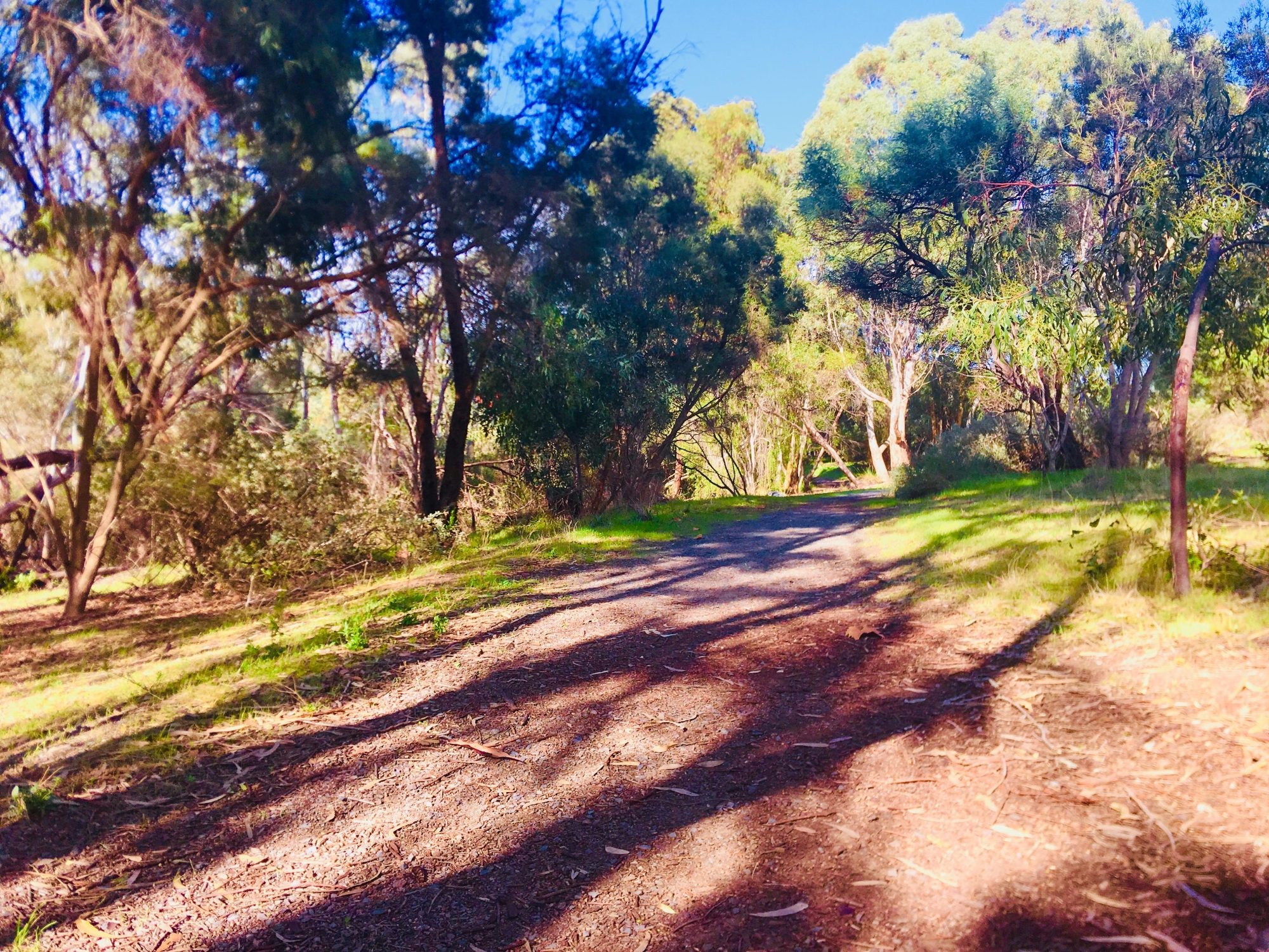 Warriparingga Wetlands Path