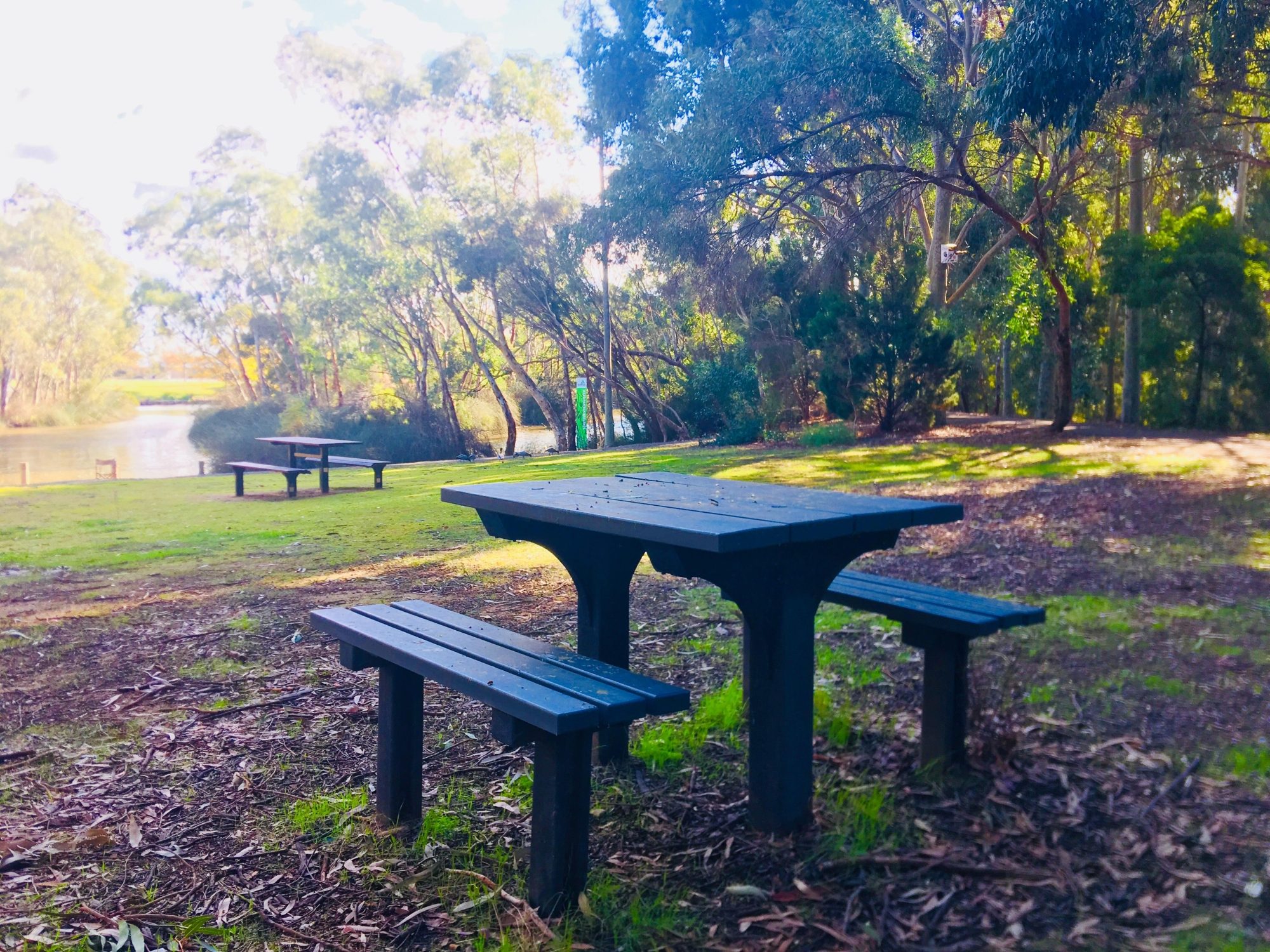 Warriparingga Wetlands Picnic