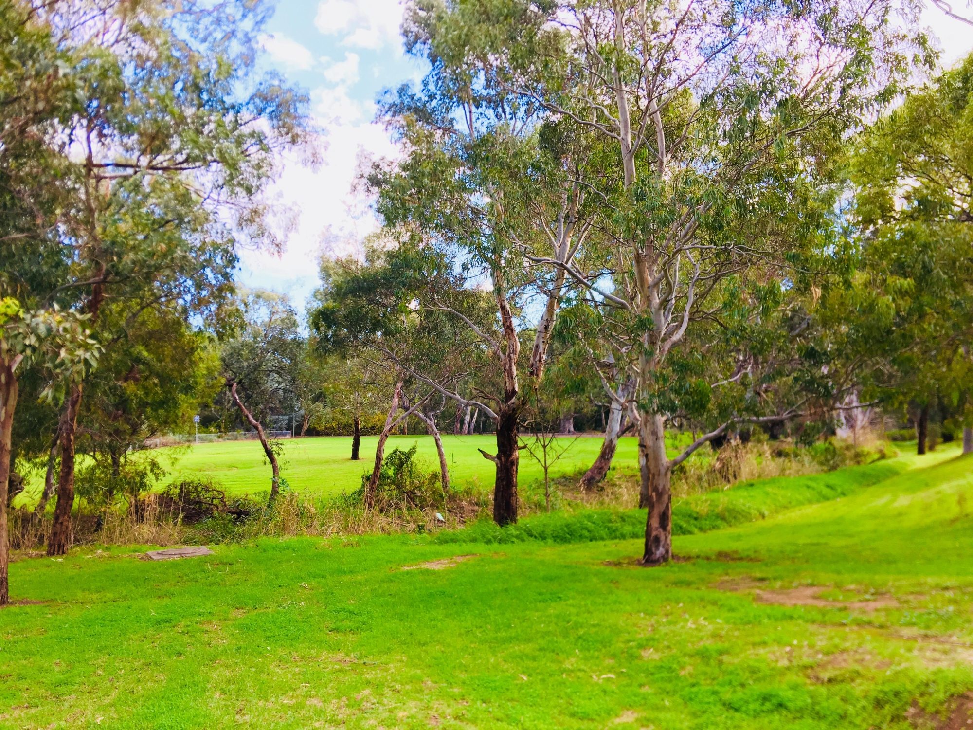 Warriparingga Wetlands River 1