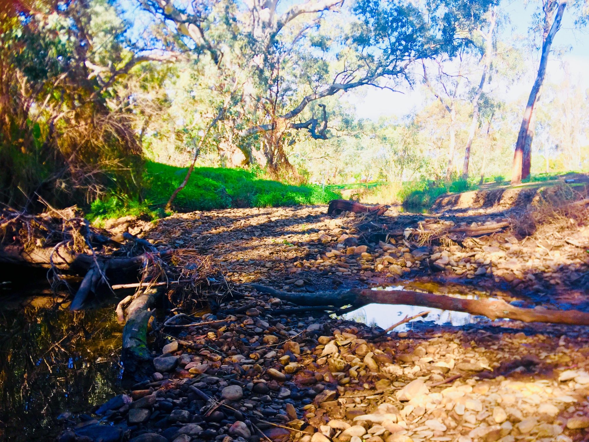 Warriparingga Wetlands River 2