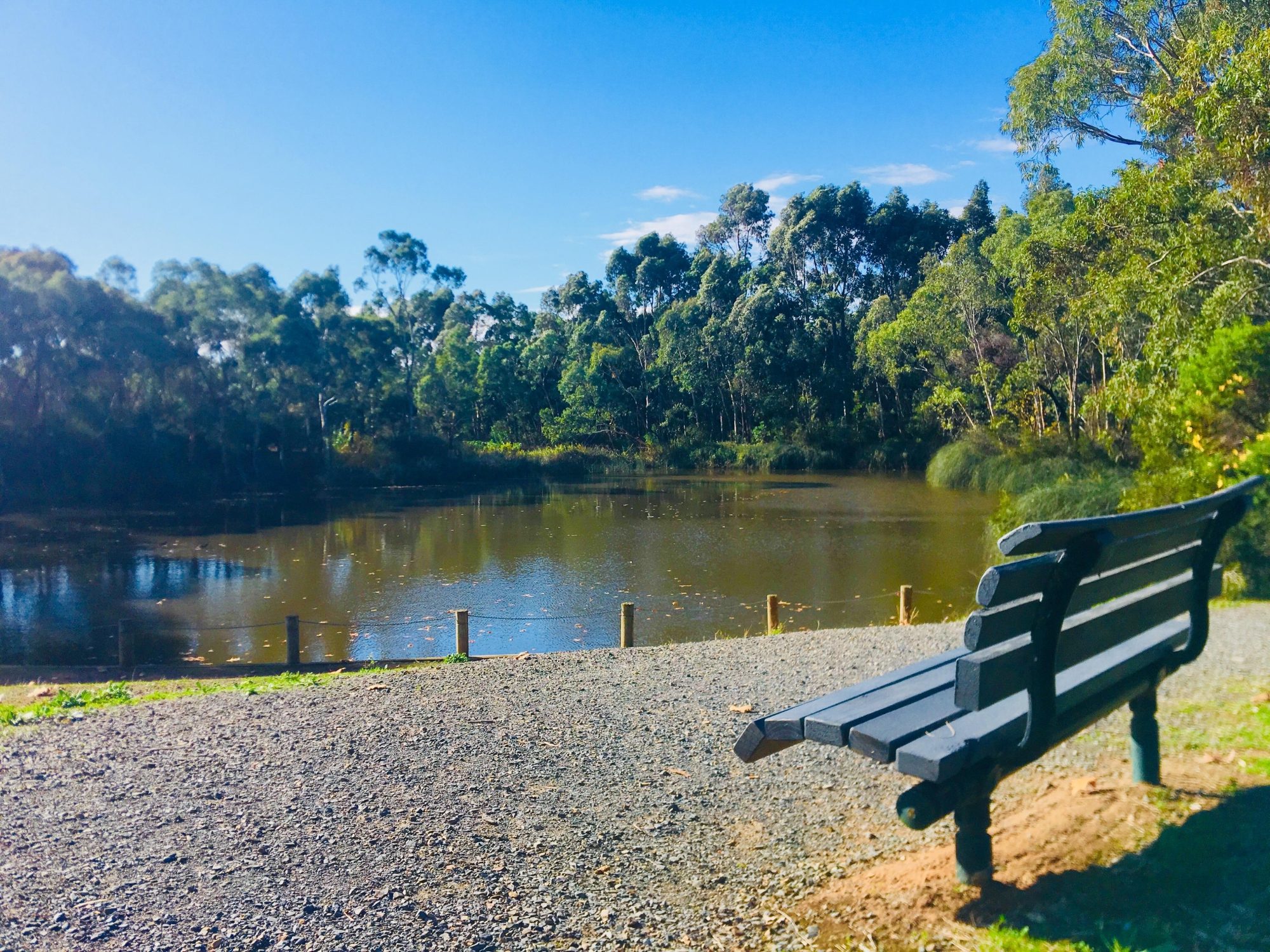 Warriparingga Wetlands Seat