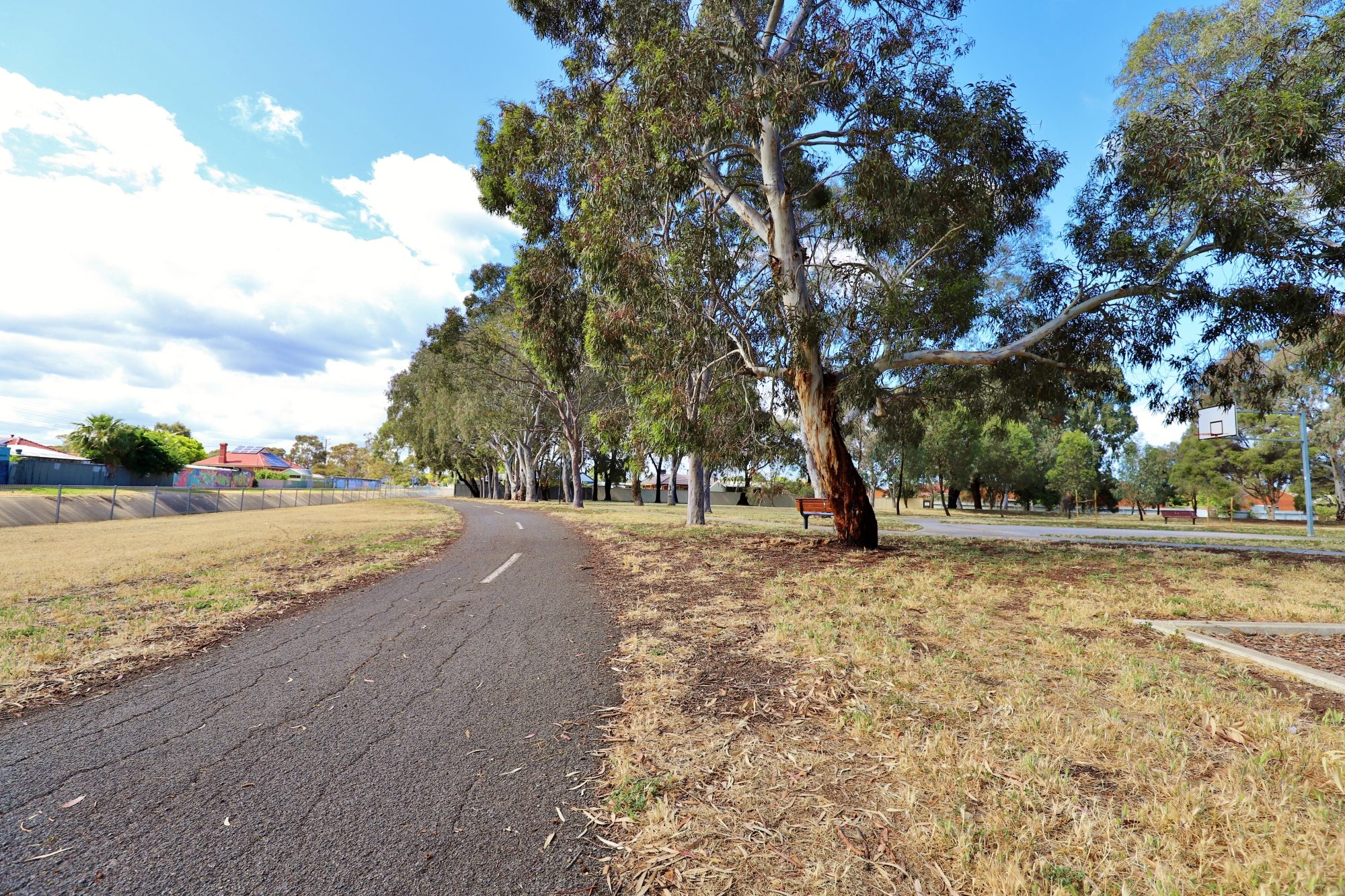 Willoughby Avenue Reserve Sturt River Linear Park 2