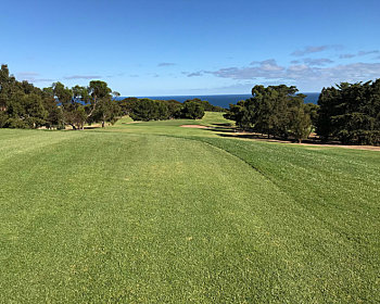 Advert Image Original