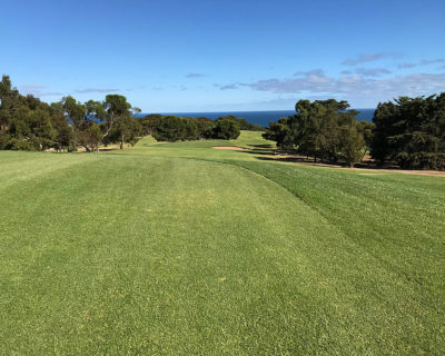 Advert Image Original