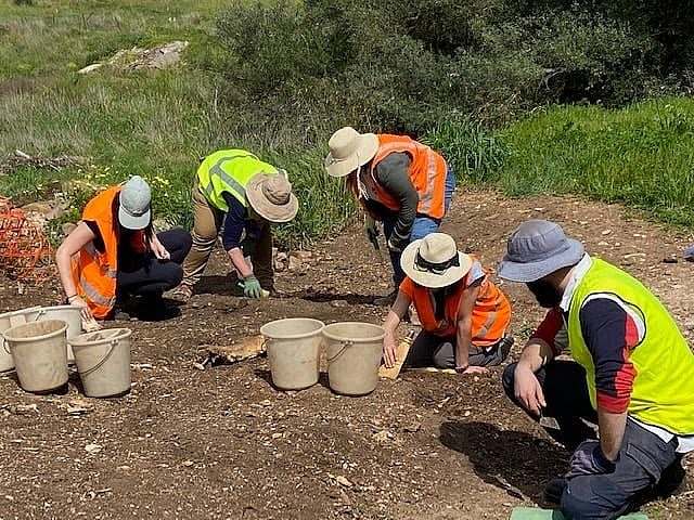 Archeology Friends of Glenthorne