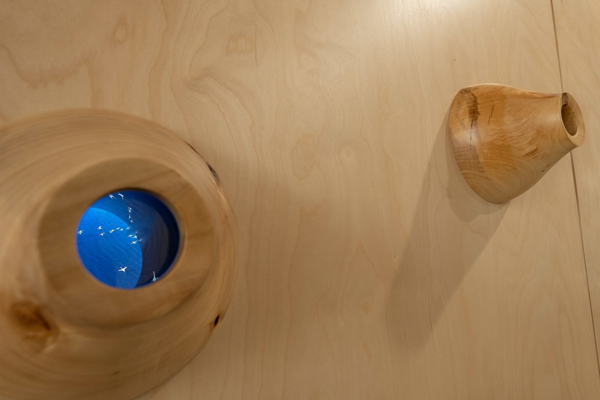 Congregate Murmurations portal Trim Photography