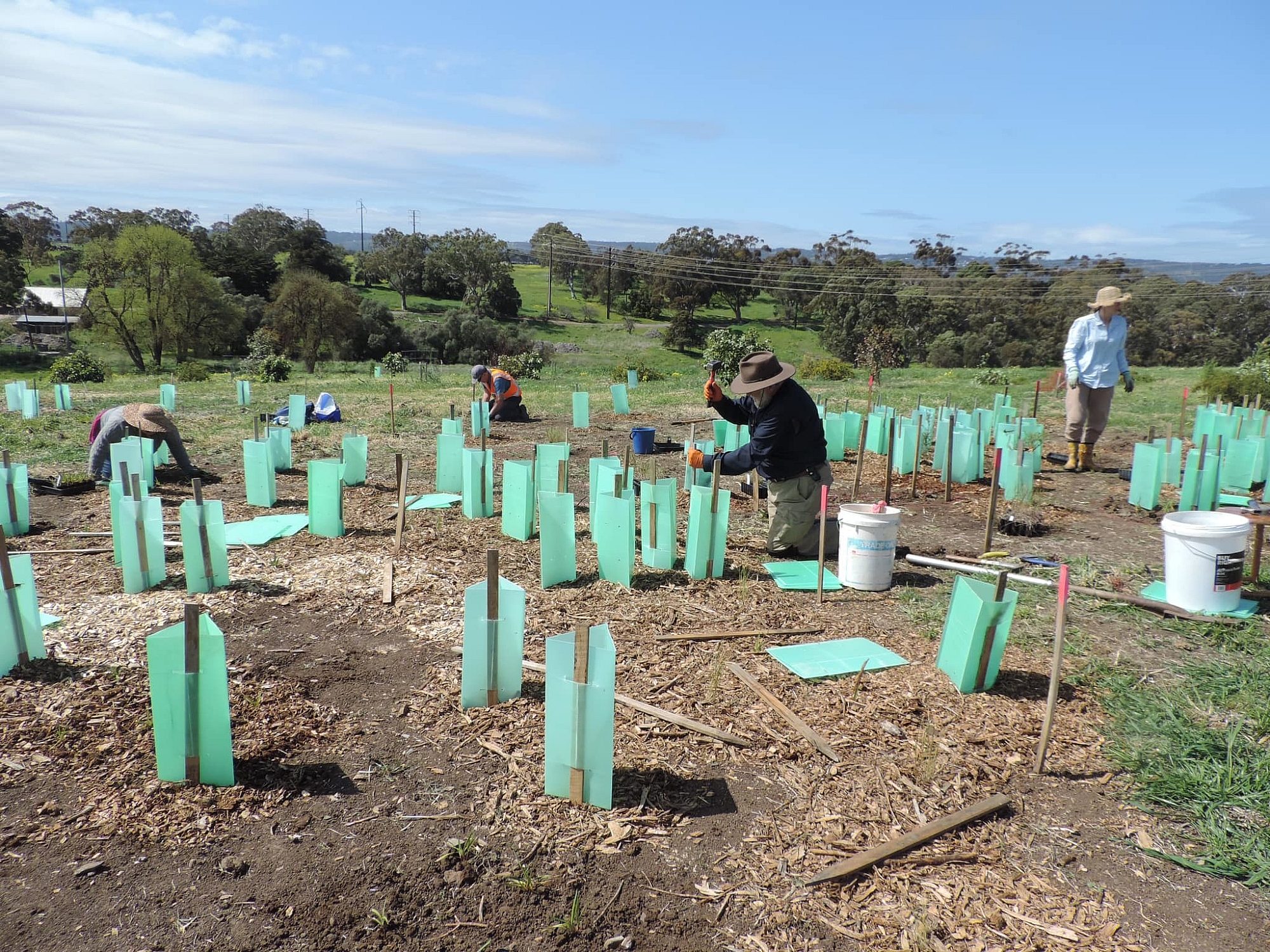 Planting Friends of Glenthorne