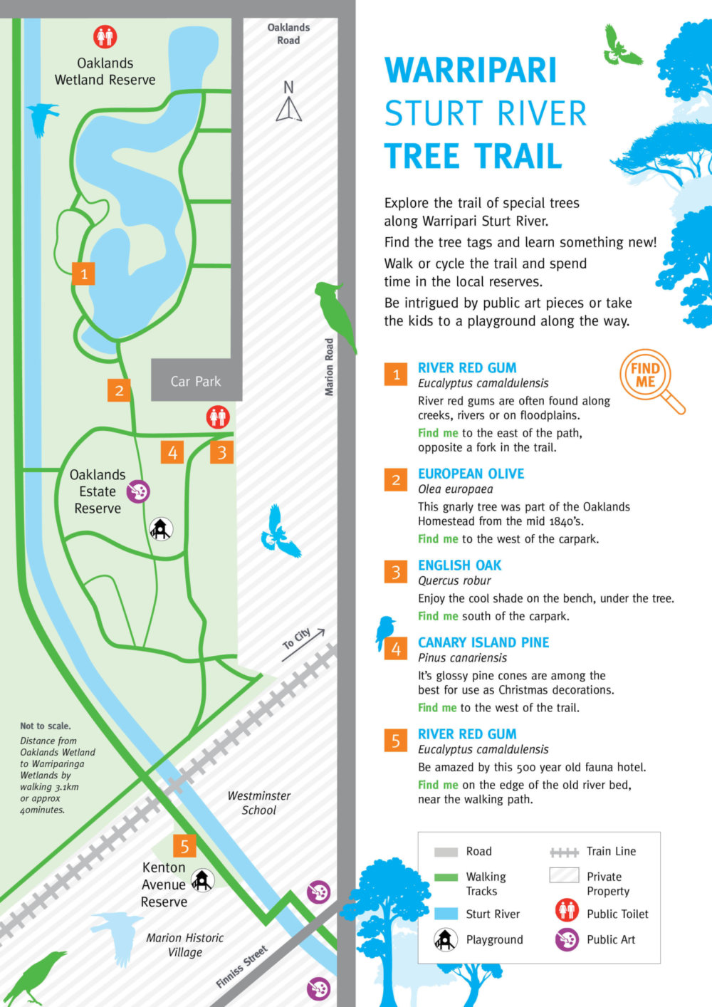 Warripari Sturt River Tree Trail Map 1