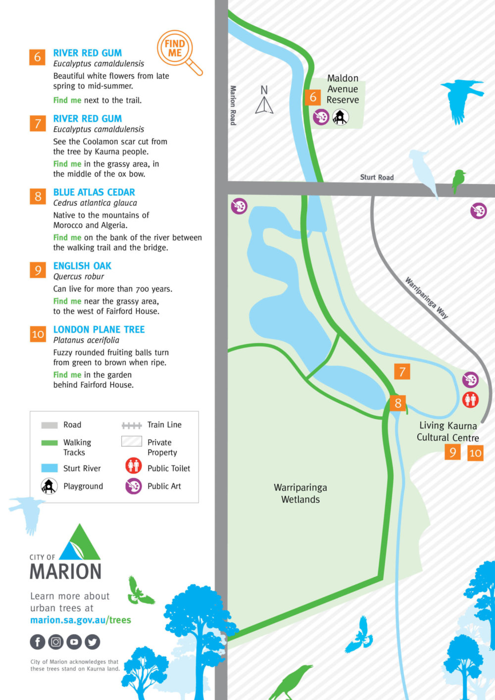 Warripari Sturt River Tree Trail Map 2