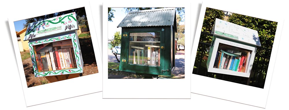 Little Libraries photos