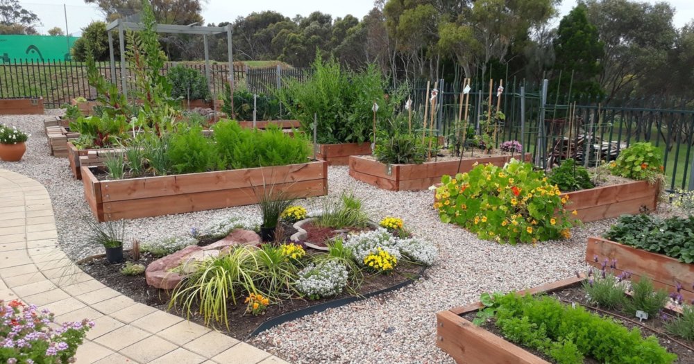 Trott park community garden2