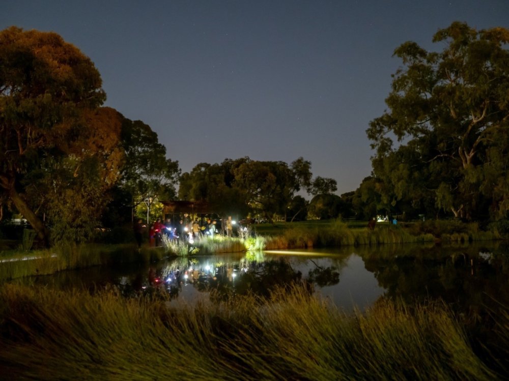 Oaklands wetland Nature by Night