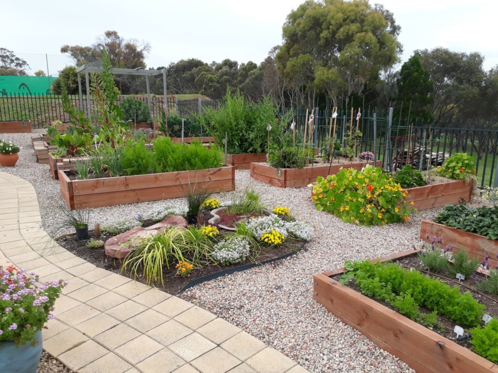 Trott park community garden2